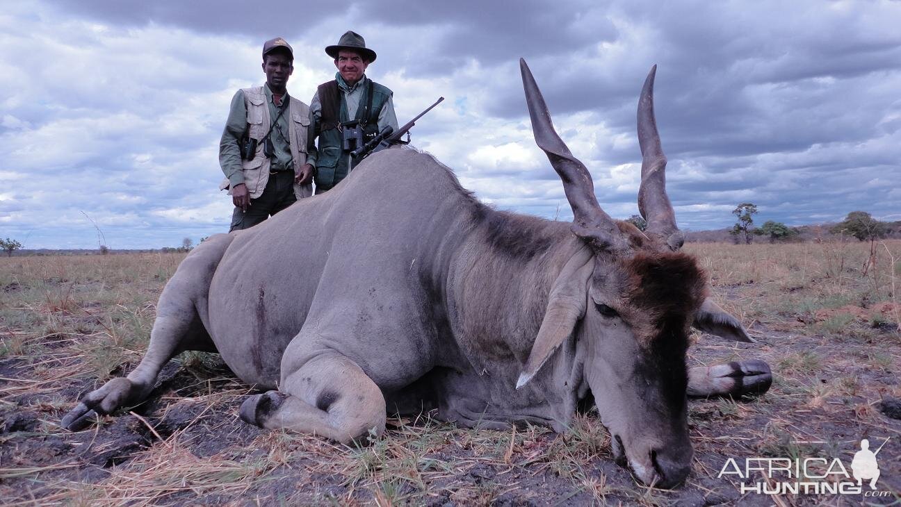 Tanzania Hunt Eland