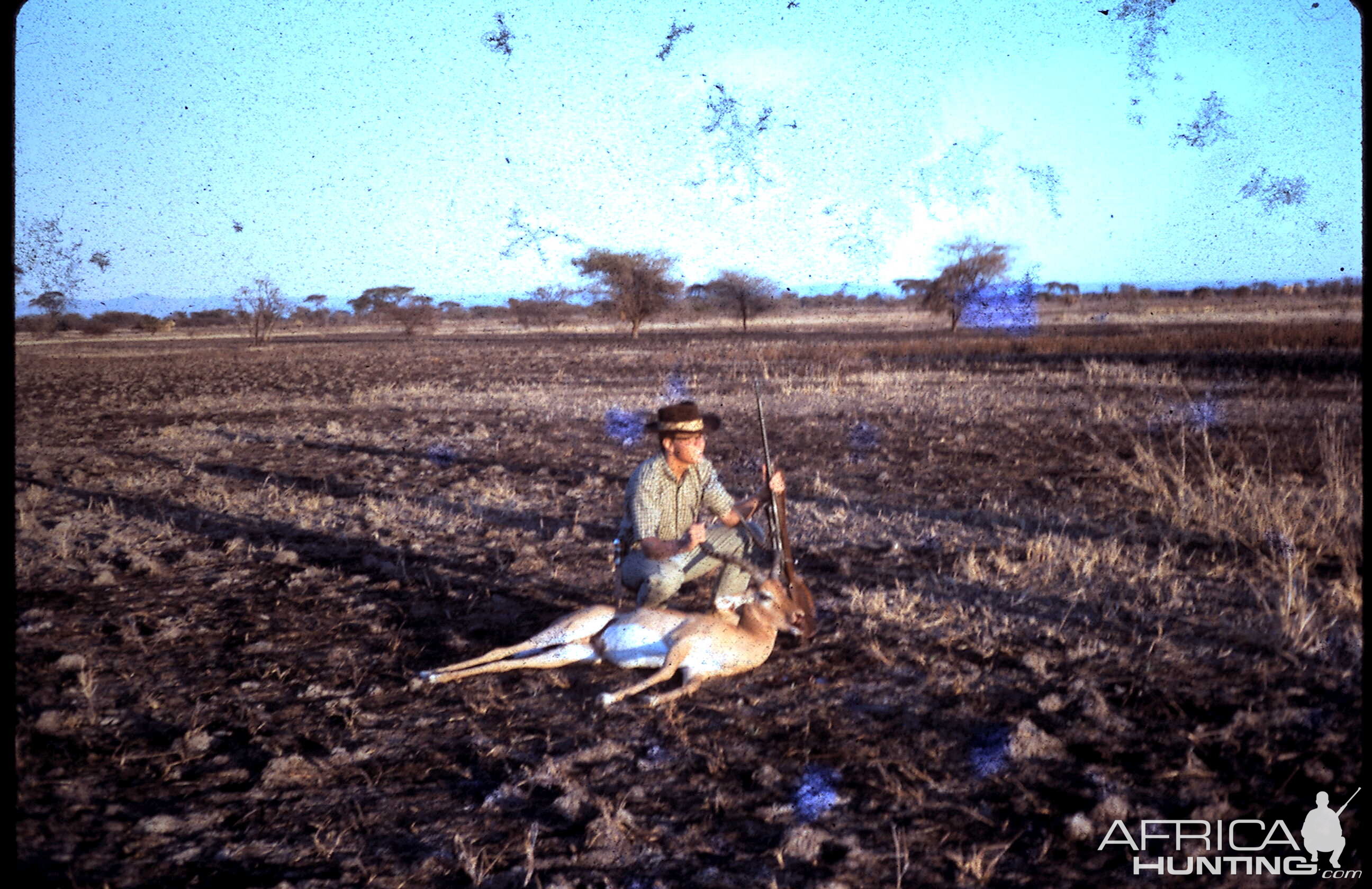 Tanzania Hunt Impala during 60's