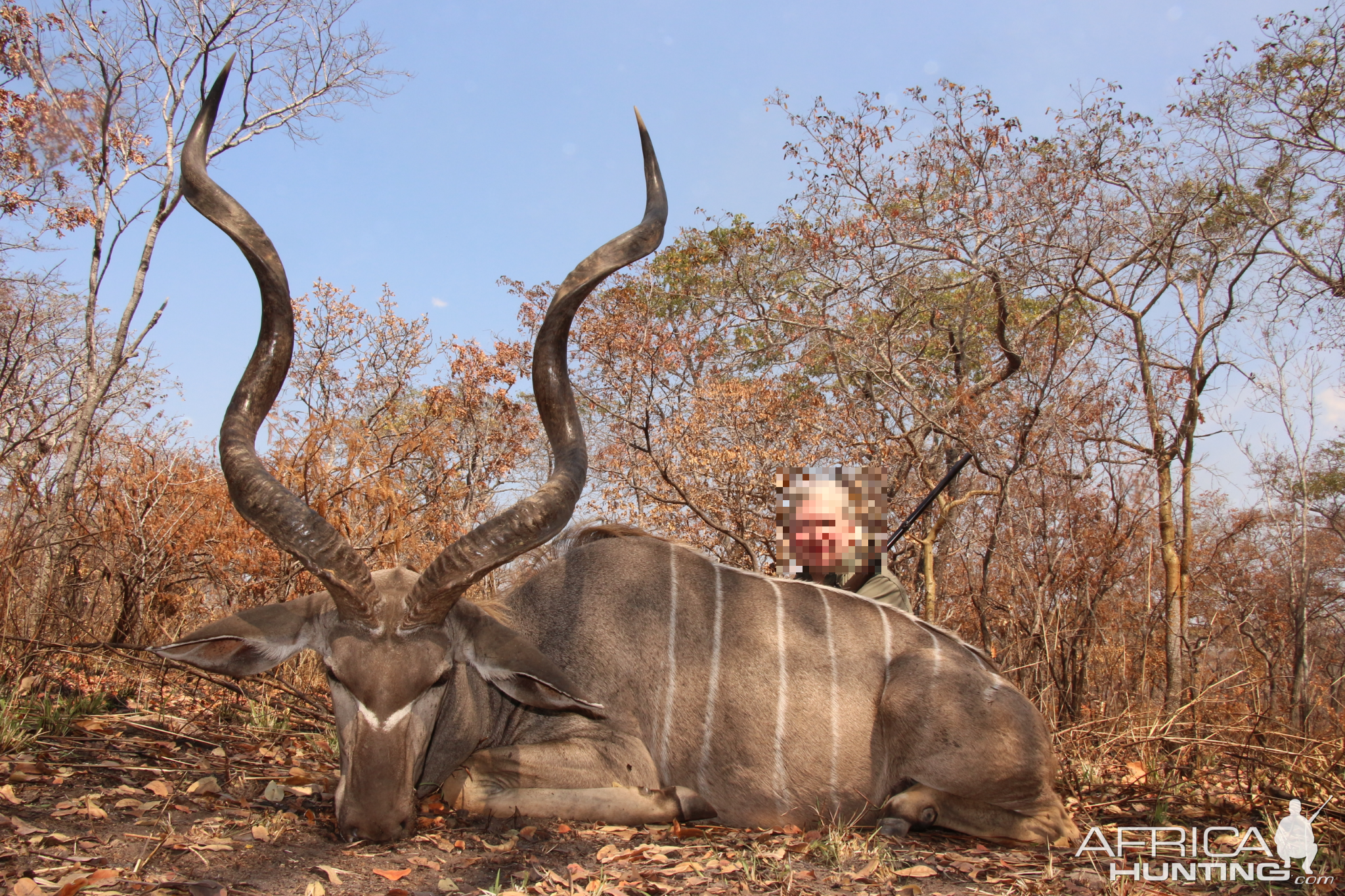 Tanzania Hunt Kudu
