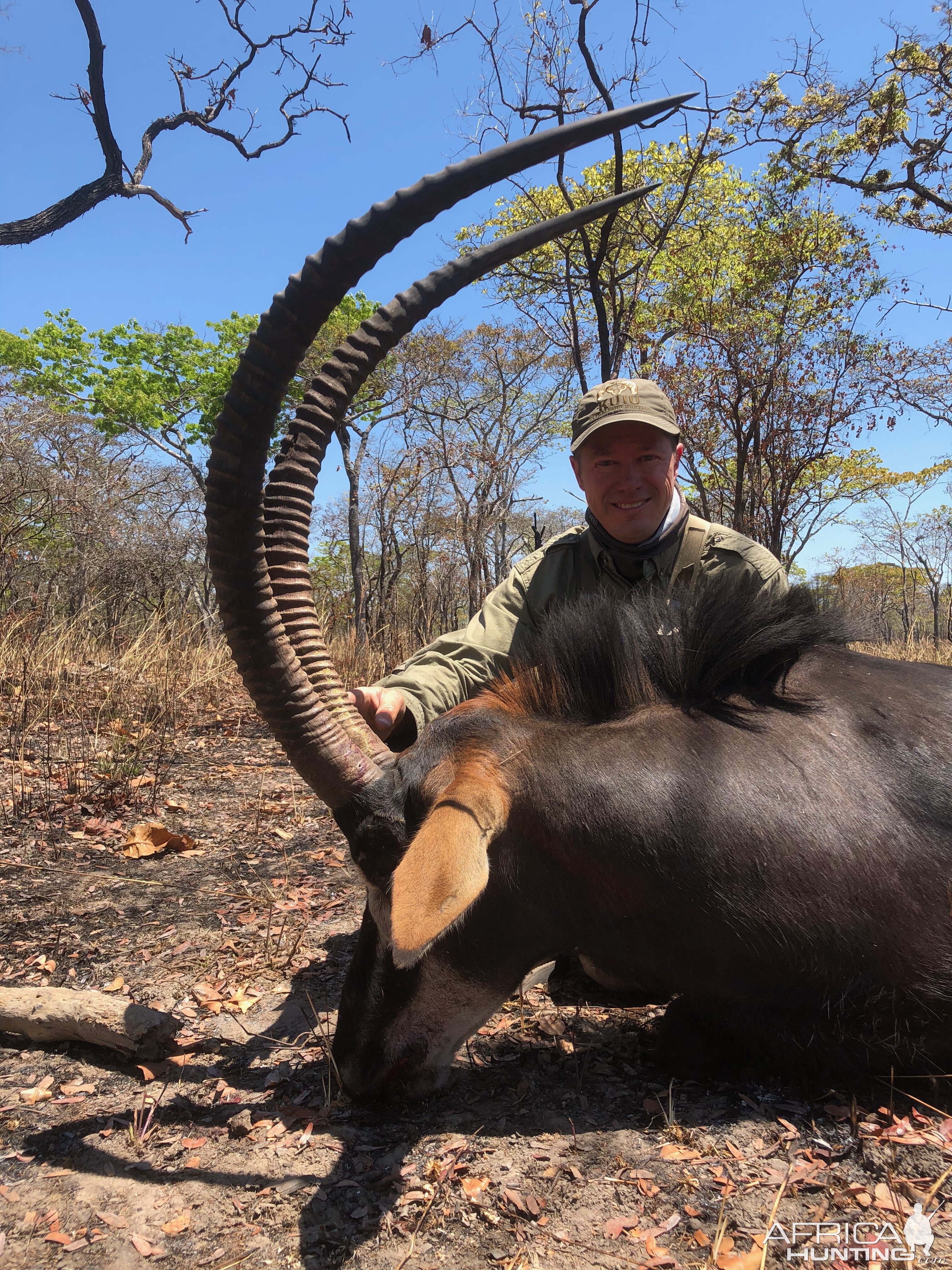Tanzania Hunt Sable Antelope