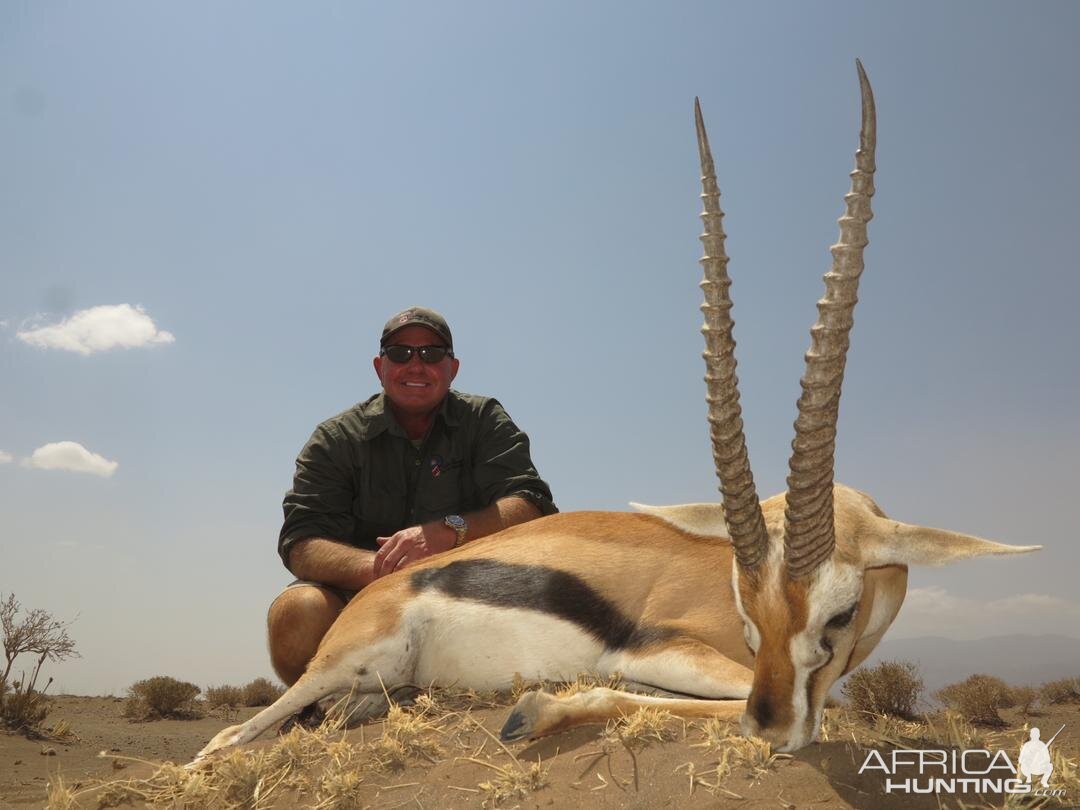 Tanzania Hunt Thomson's Gazelle