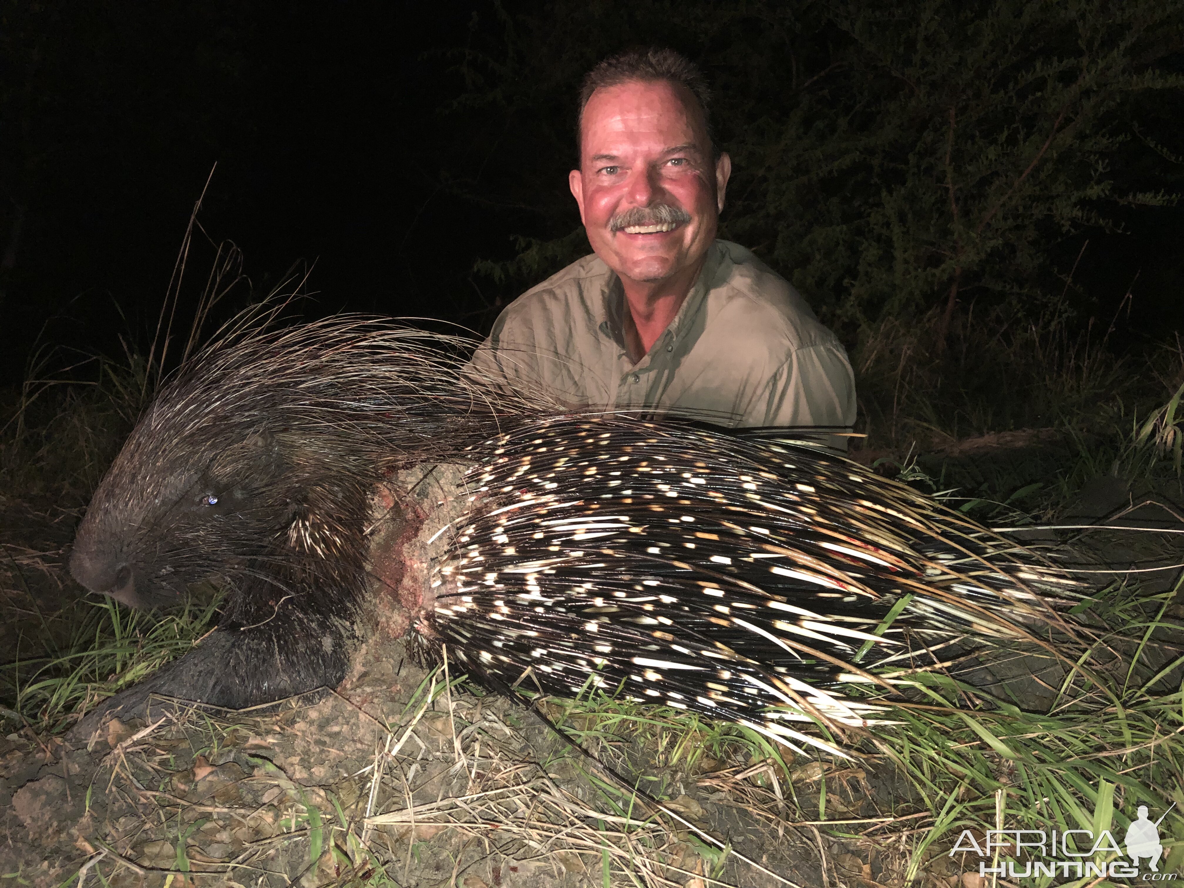 Tanzania Hunting African Porcupine