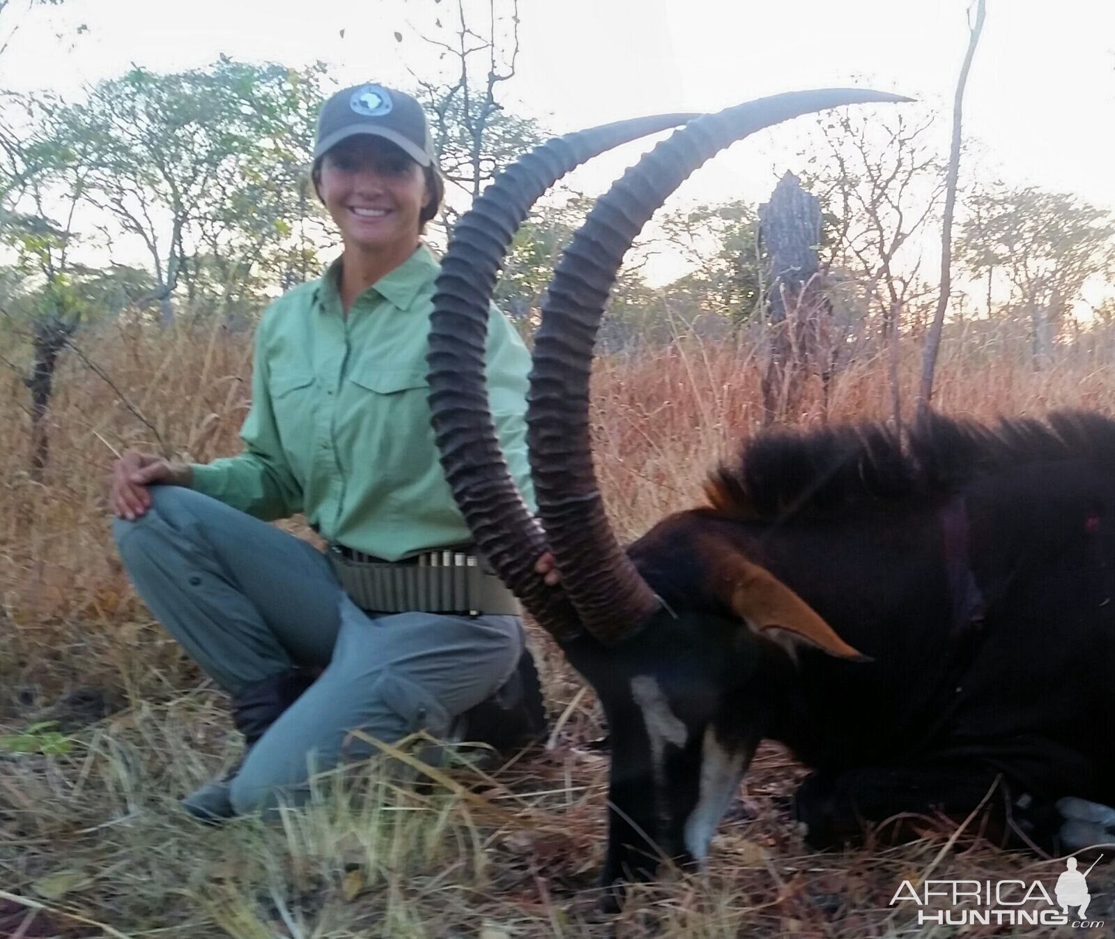 Tanzania Hunting Sable Antelope