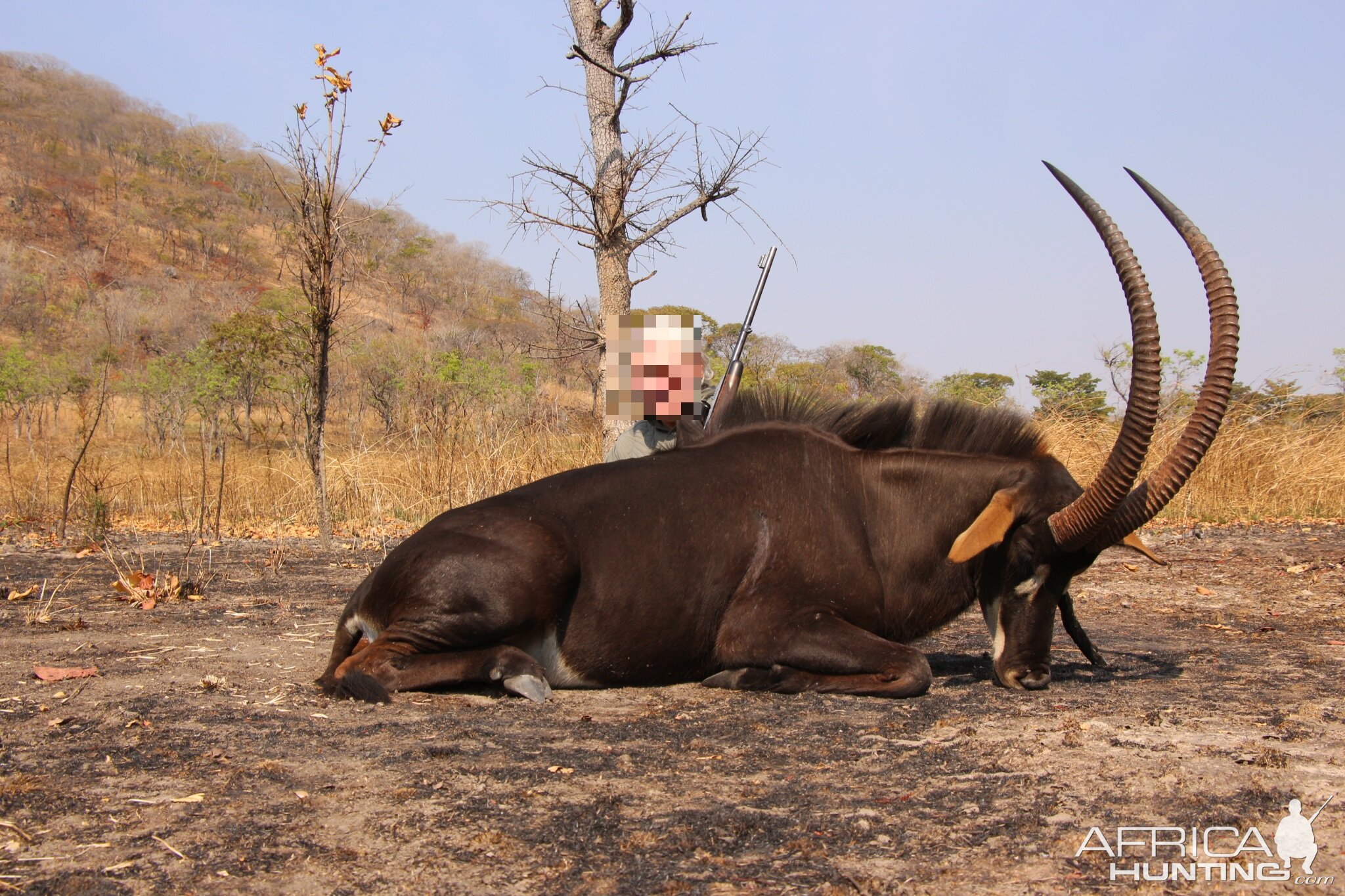 Tanzania Hunting Sable