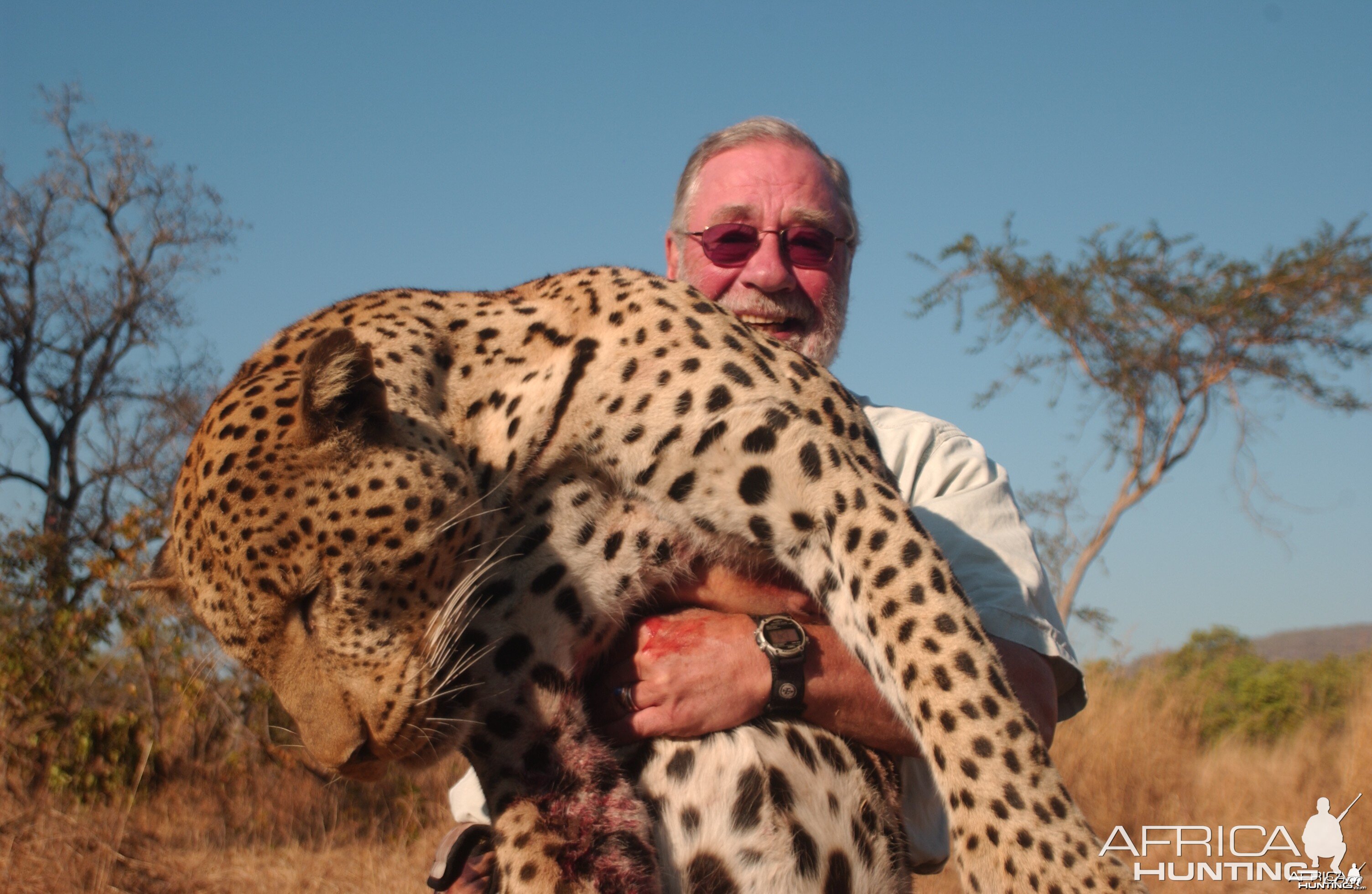 Tanzania leopard