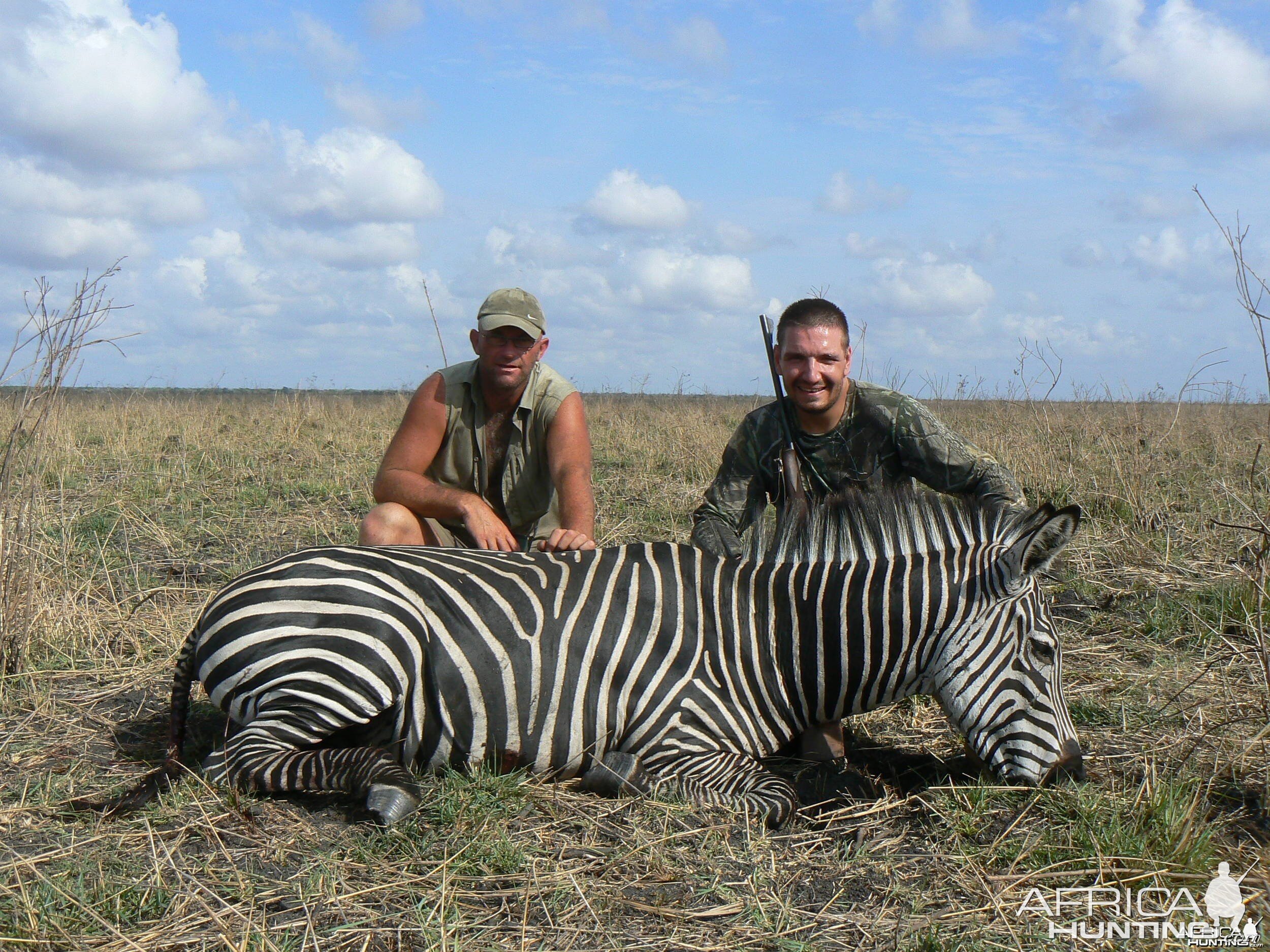 Tanzania. Zebra stallion