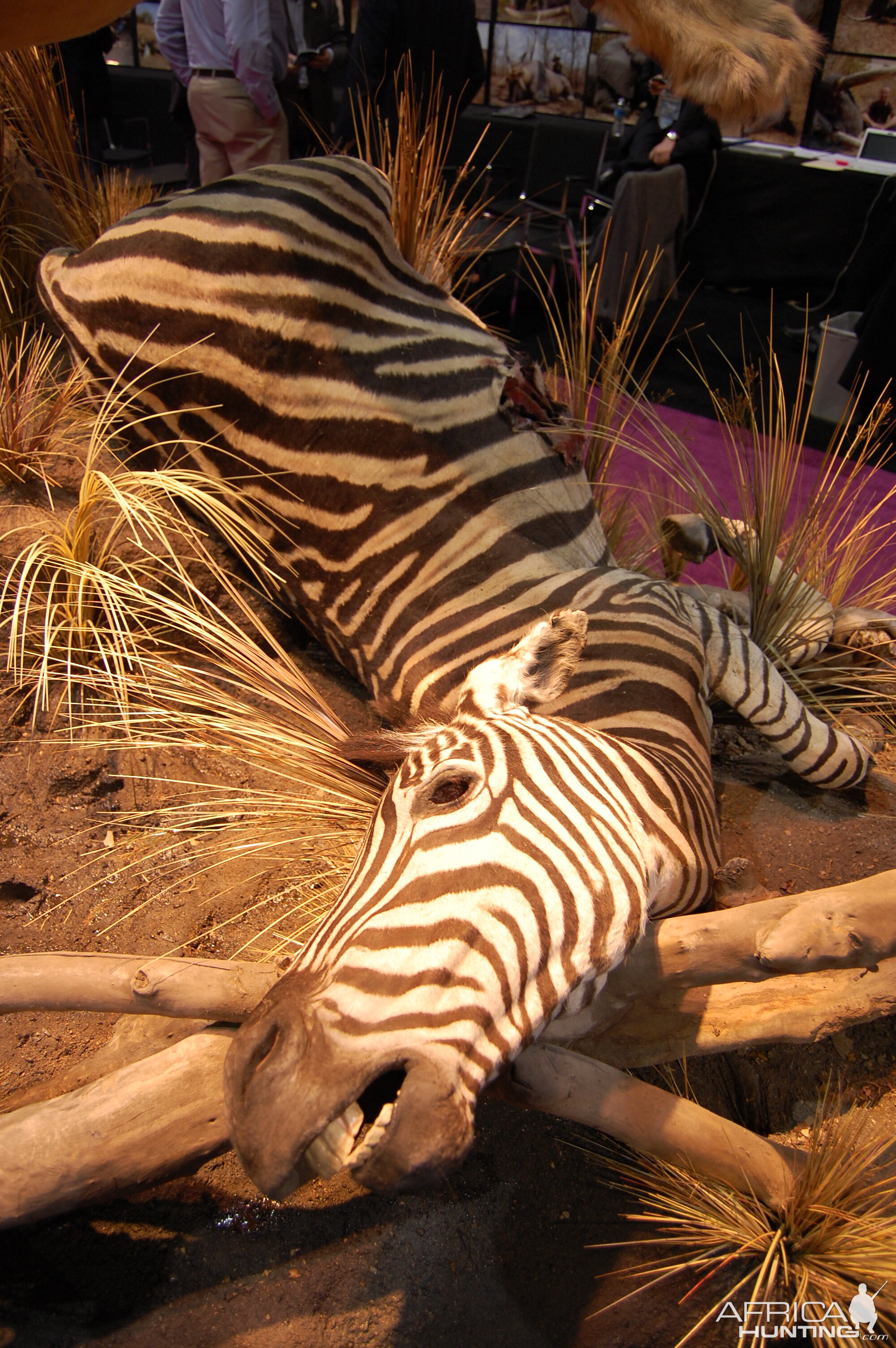 Taxidermy at Safari Club International Convention