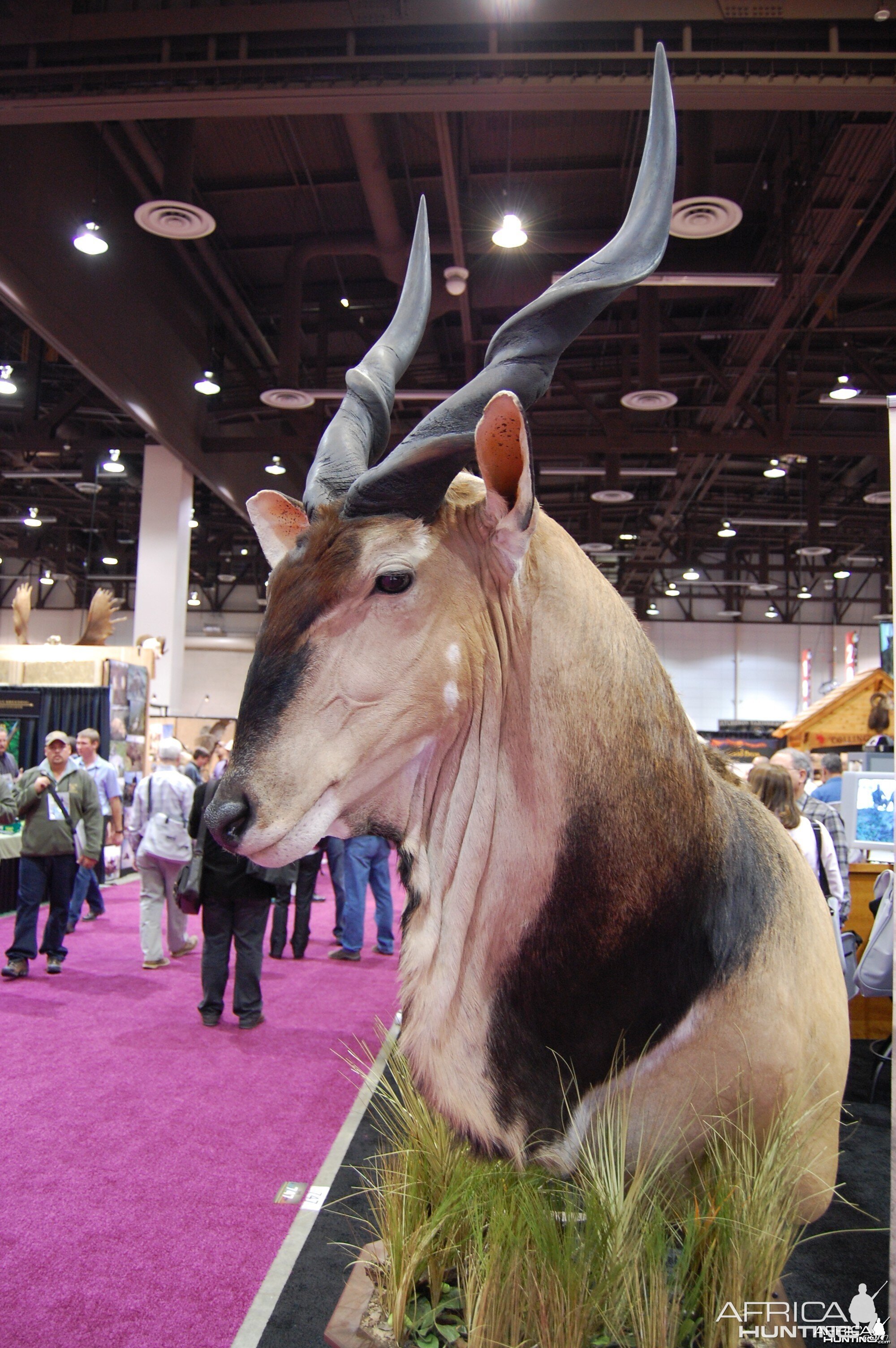 Taxidermy at Safari Club International Convention