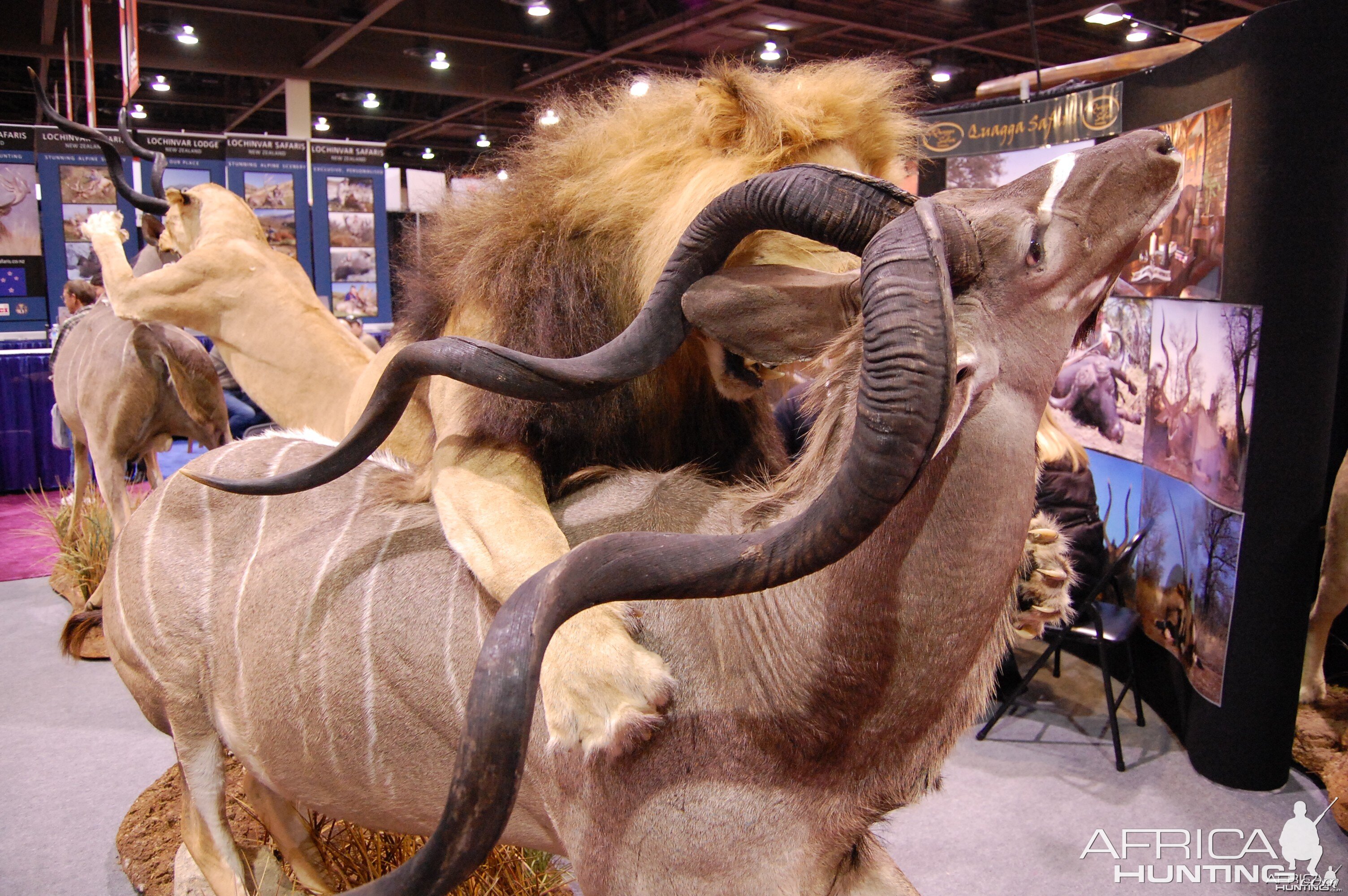 Taxidermy at Safari Club International Convention