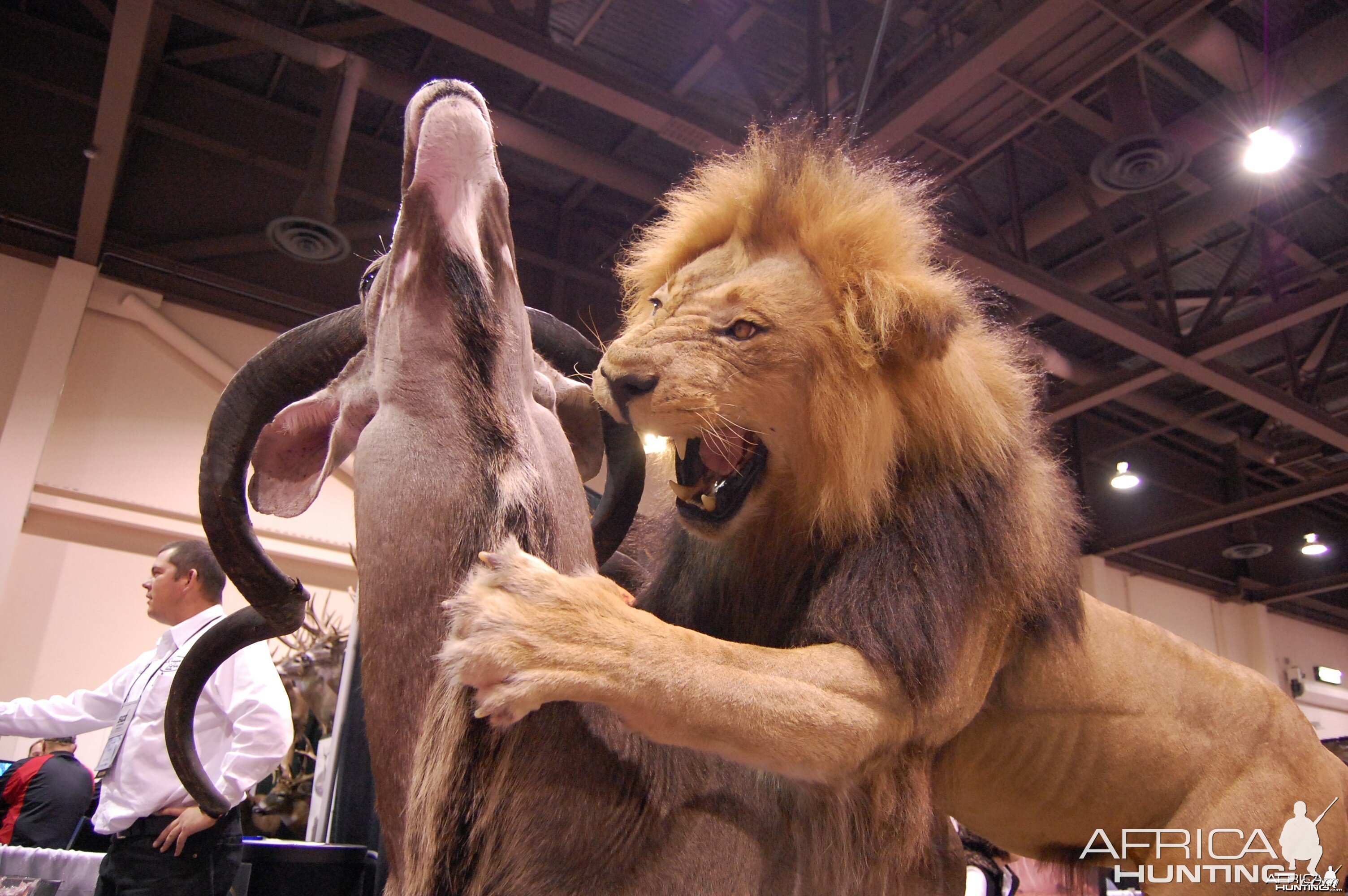 Taxidermy at Safari Club International Convention