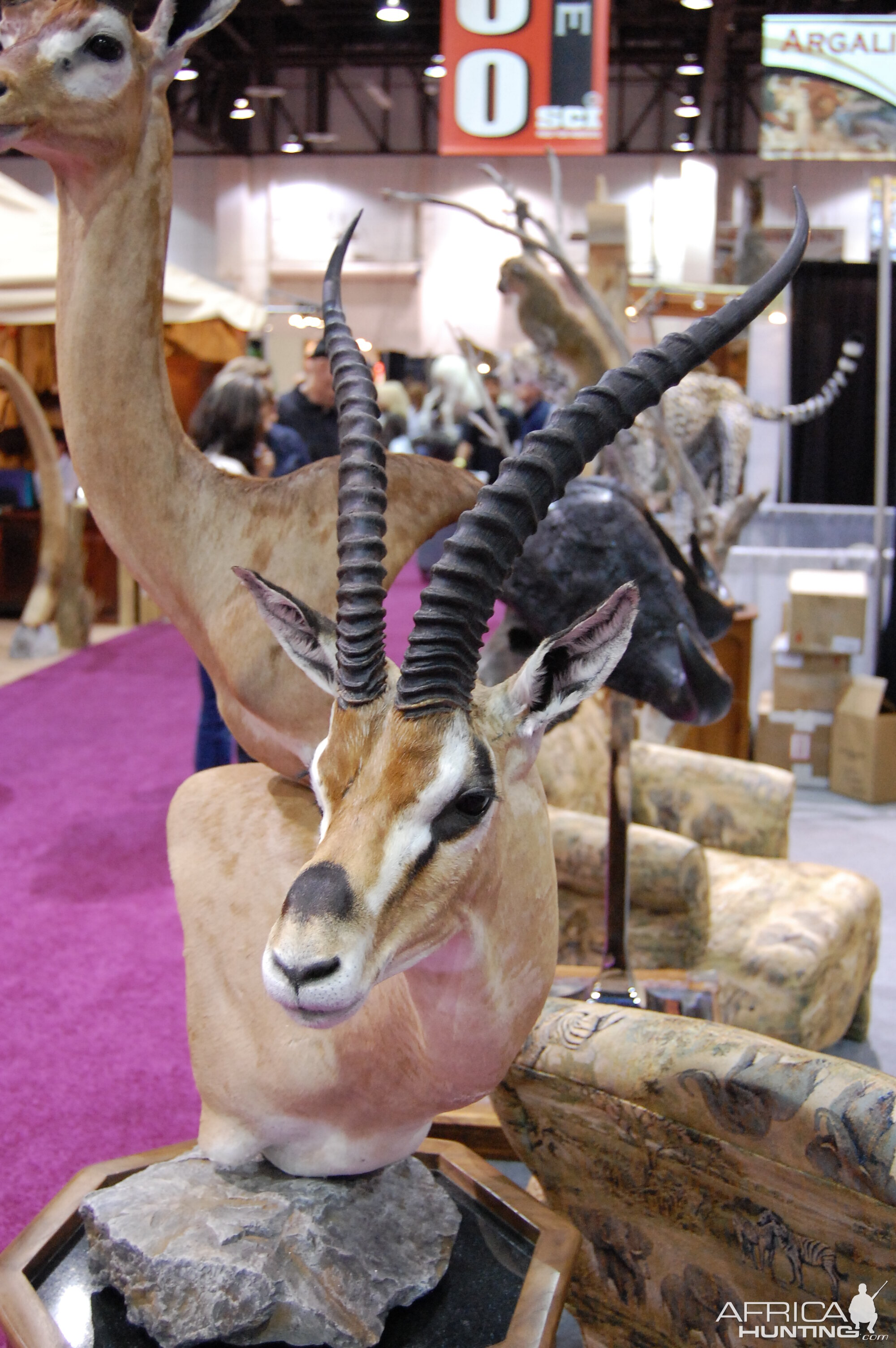 Taxidermy at Safari Club International Convention