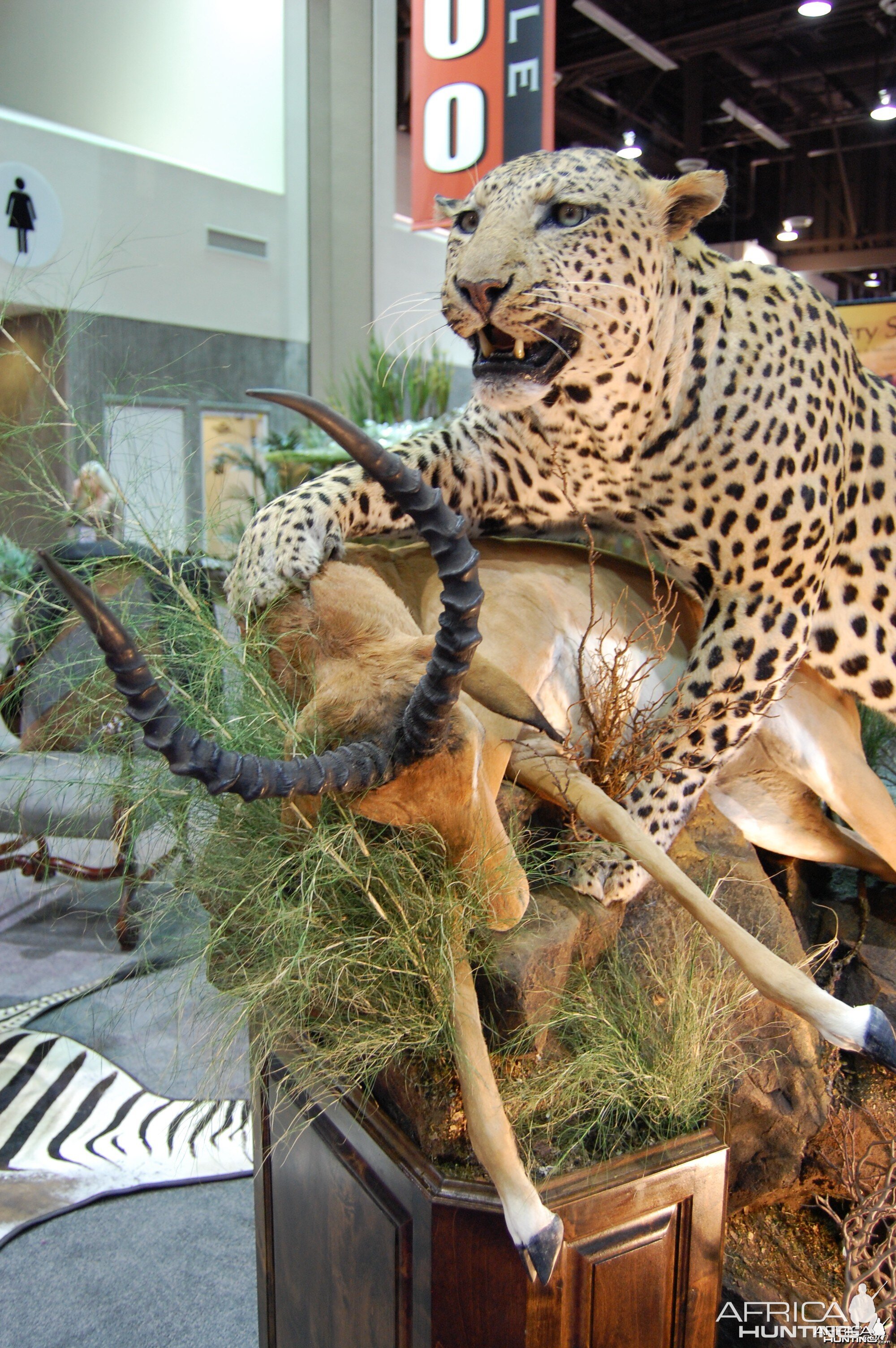 Taxidermy at Safari Club International Convention