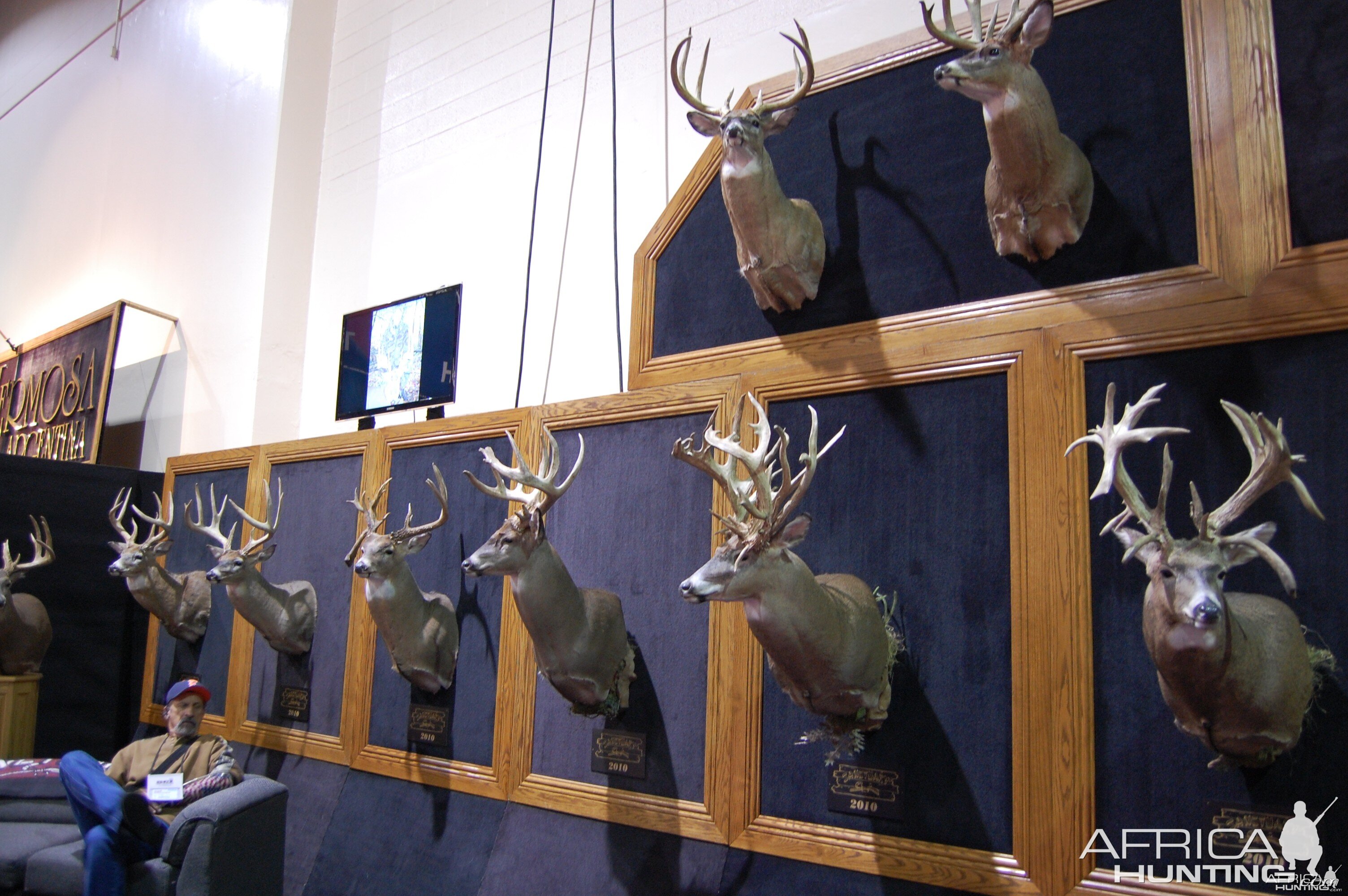 Taxidermy at Safari Club International Convention