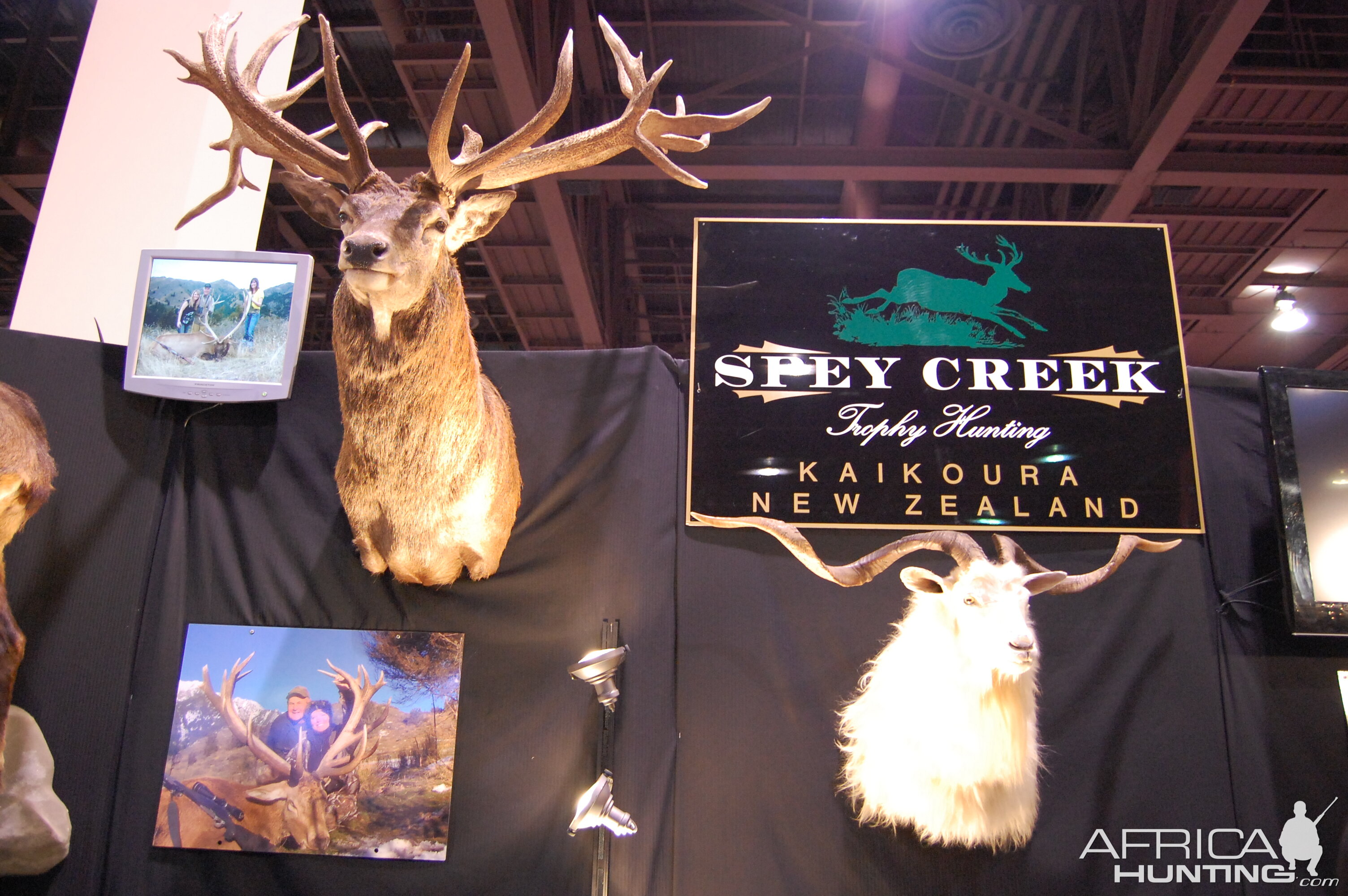 Taxidermy at Safari Club International Convention