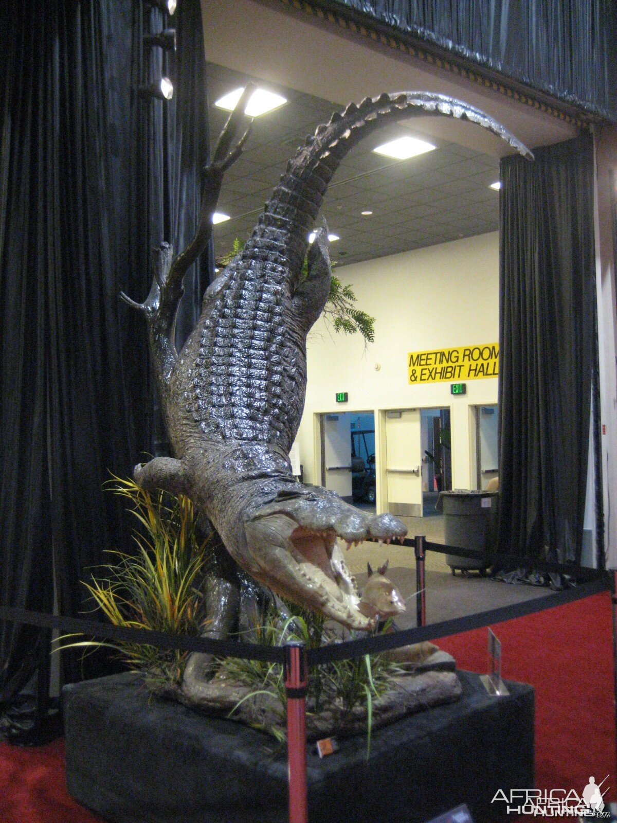 Taxidermy at Safari Club International Convention