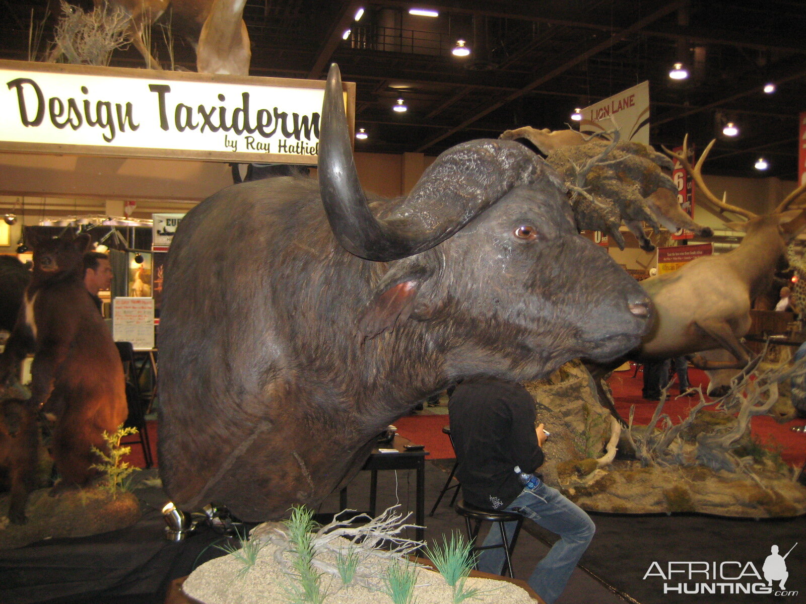 Taxidermy at Safari Club International Convention