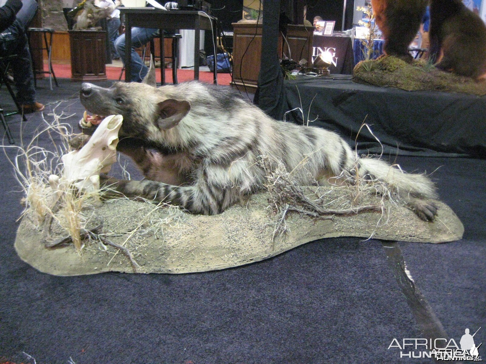 Taxidermy at Safari Club International Convention