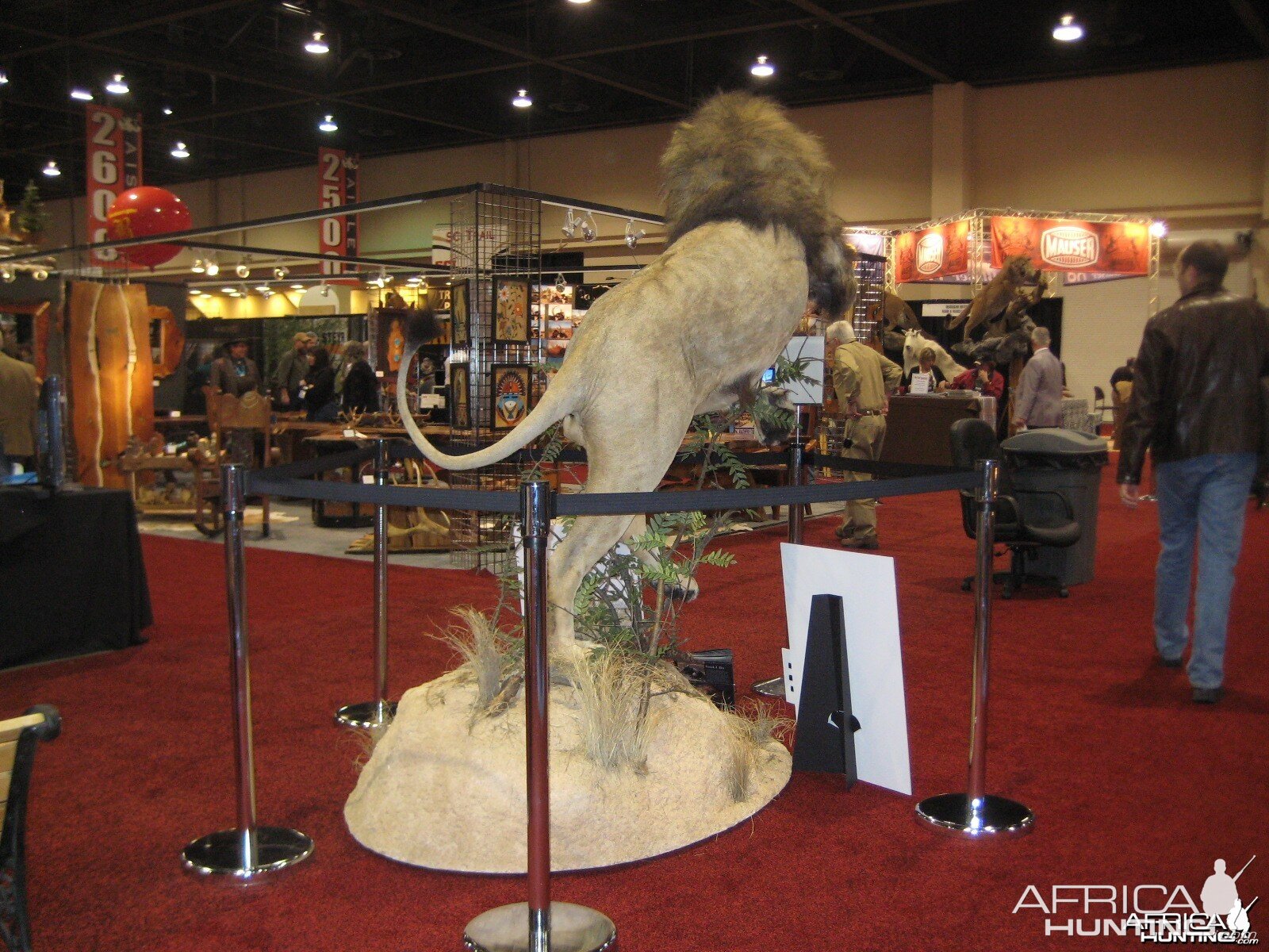 Taxidermy at Safari Club International Convention