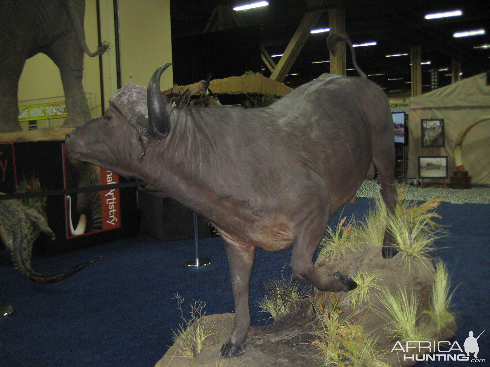 Taxidermy at Safari Club International Convention