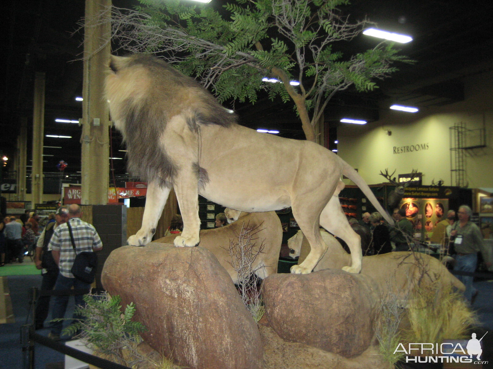 Taxidermy at Safari Club International Convention