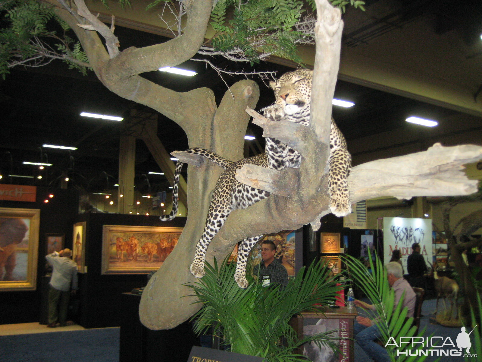 Taxidermy at Safari Club International Convention