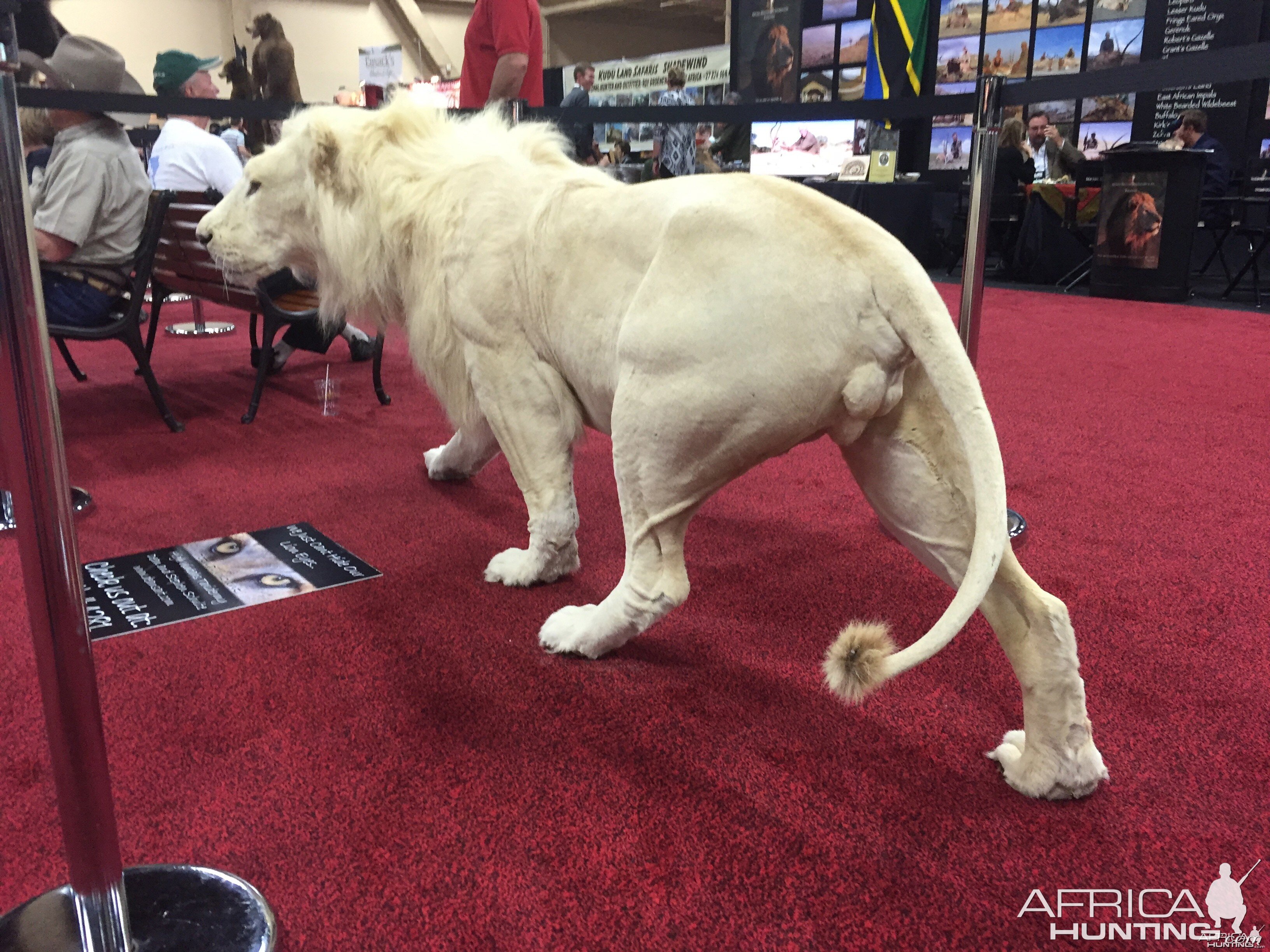 Taxidermy at Safari Club International Convention