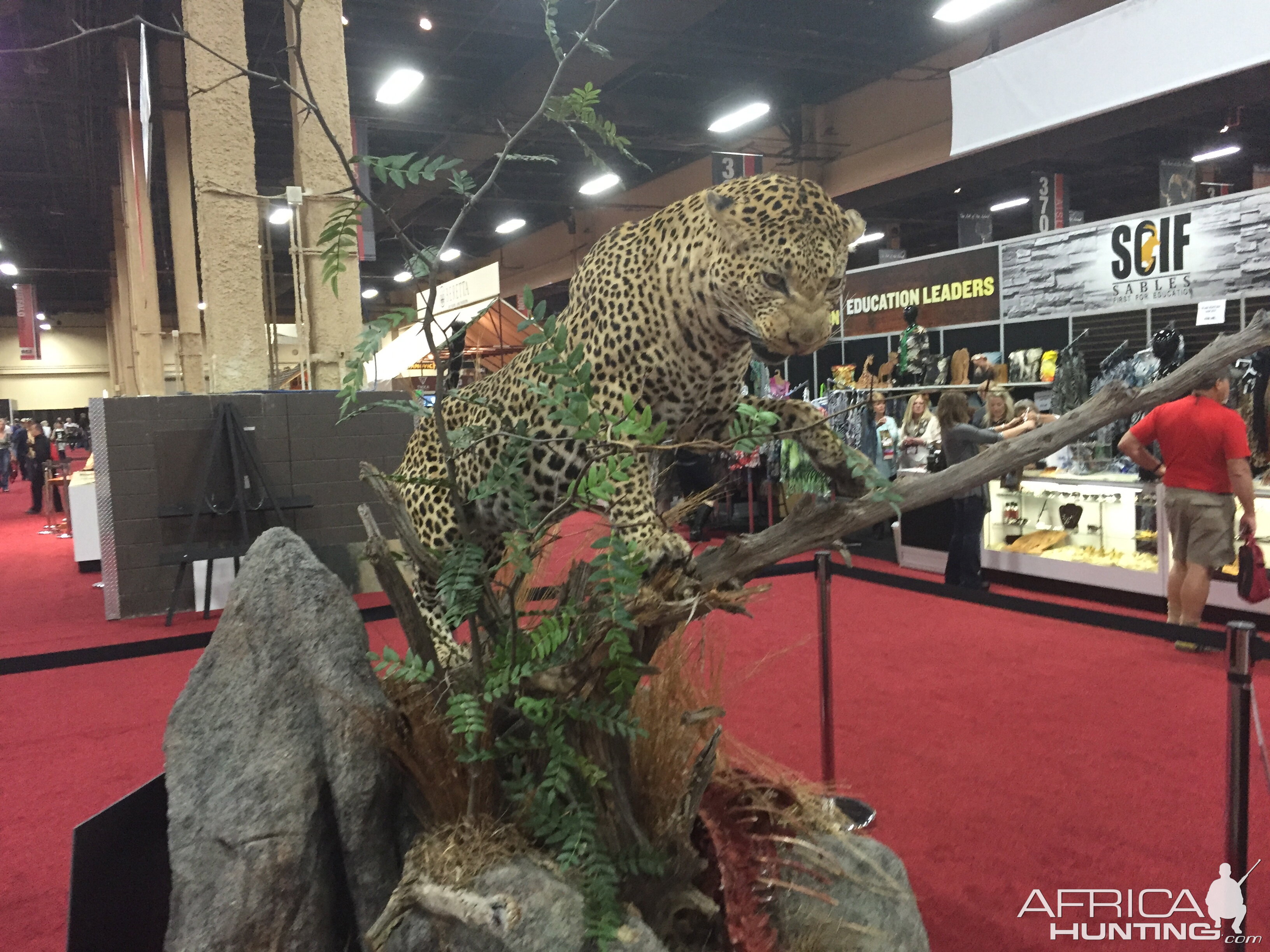 Taxidermy at Safari Club International Convention