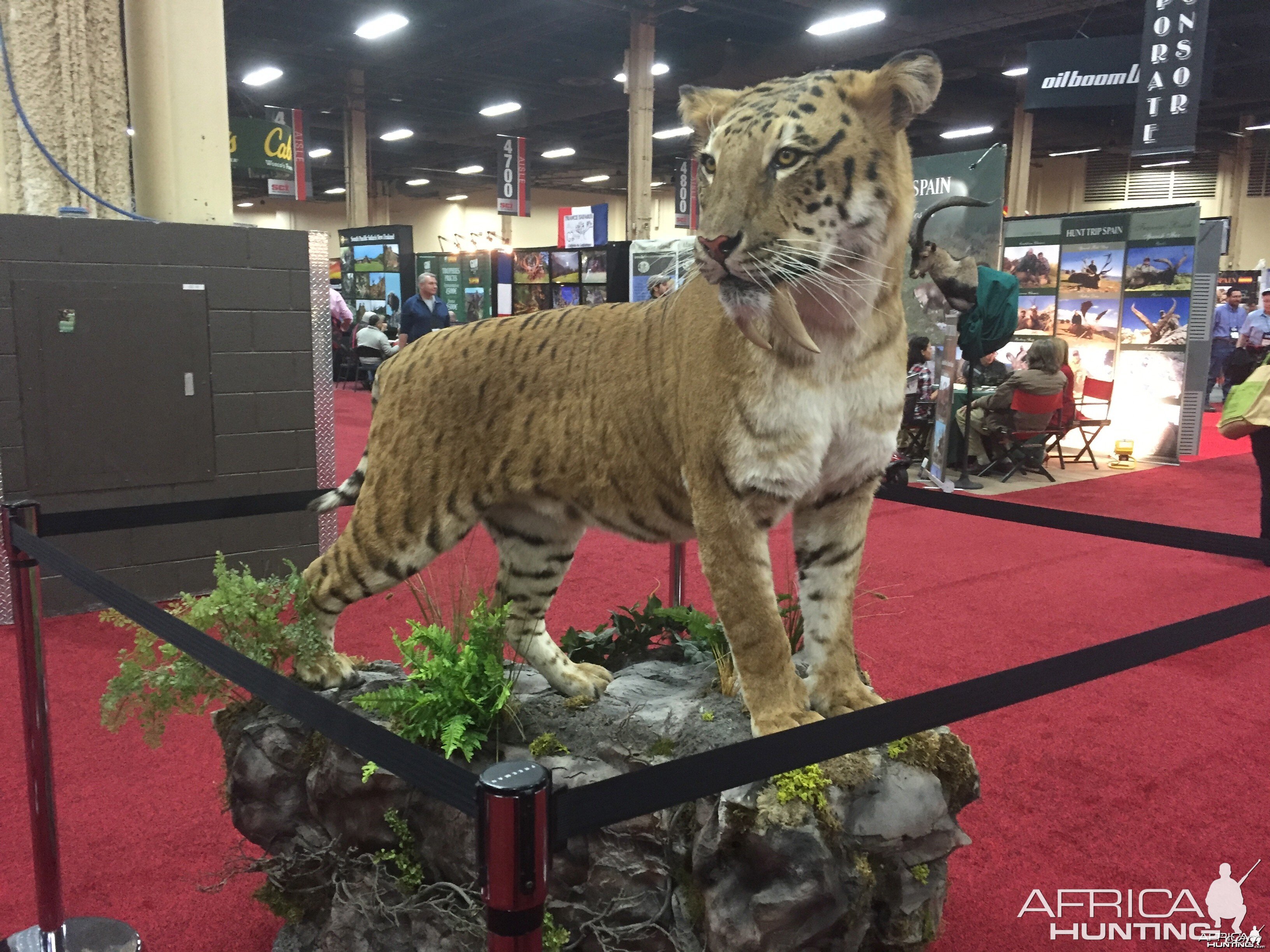 Taxidermy at Safari Club International Convention