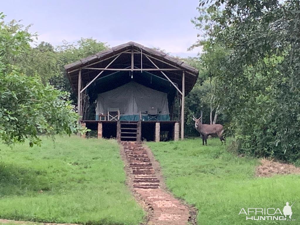 Tented Accommodation