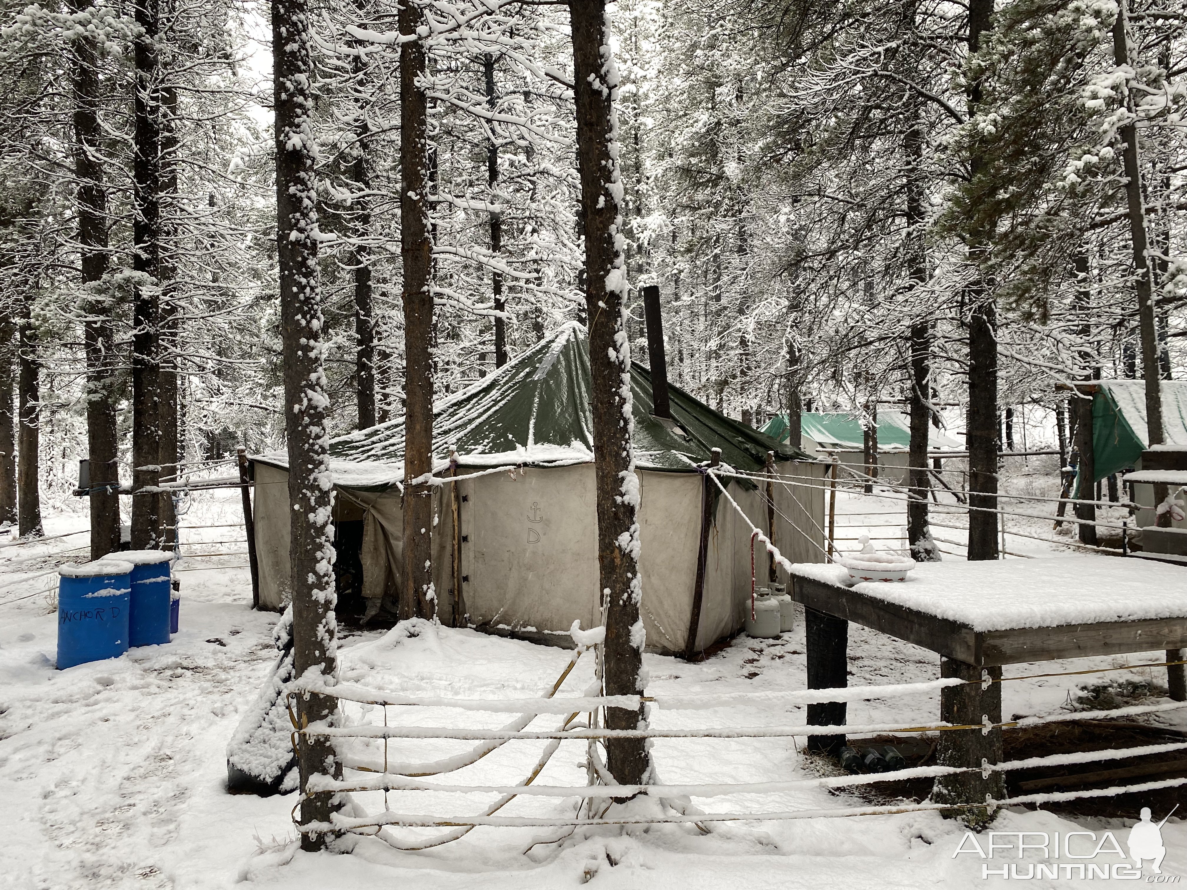 Tented Camp Alberta Canada