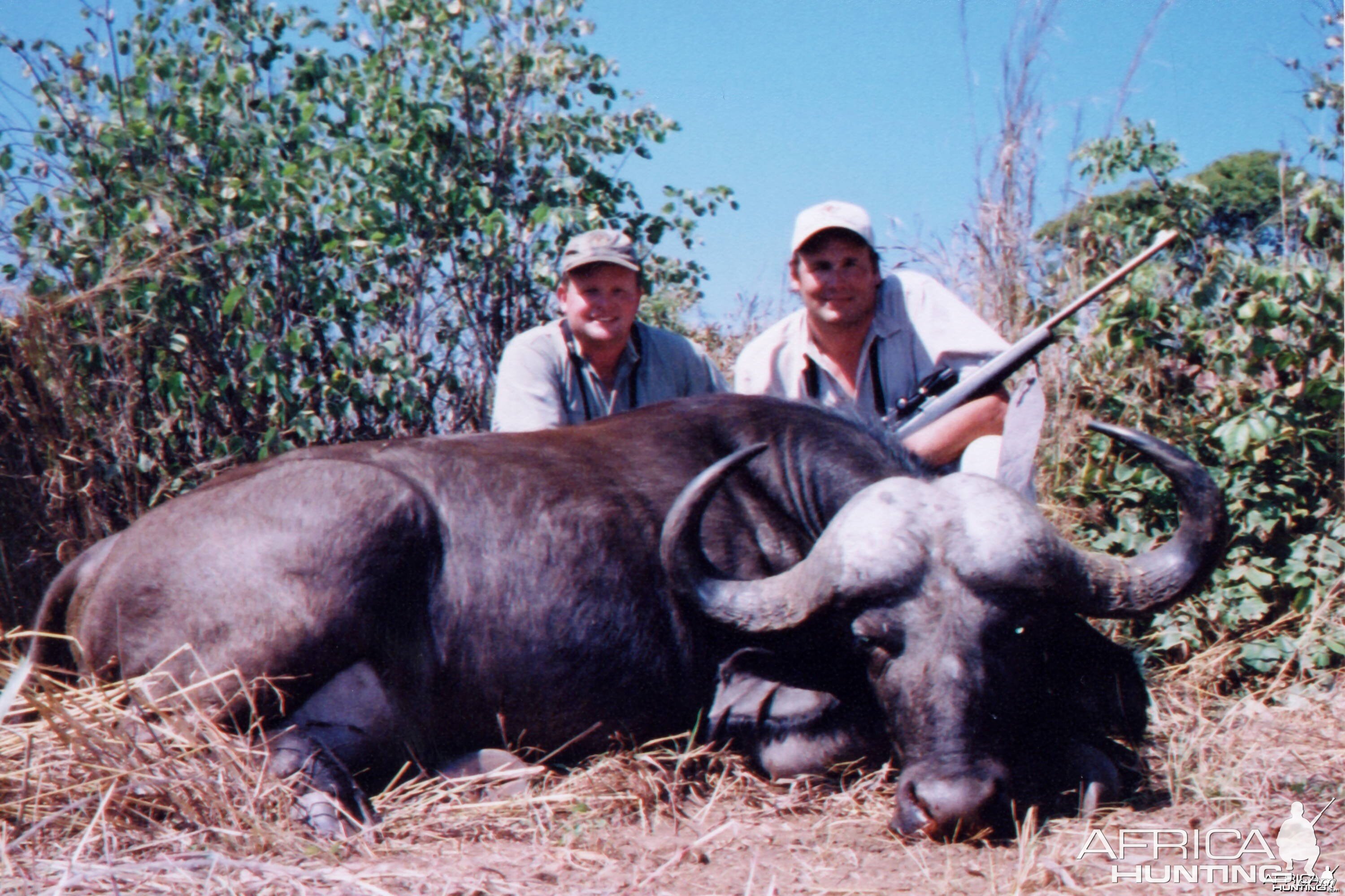 Terry Wagner Cape Buffalo - Zimbabwe