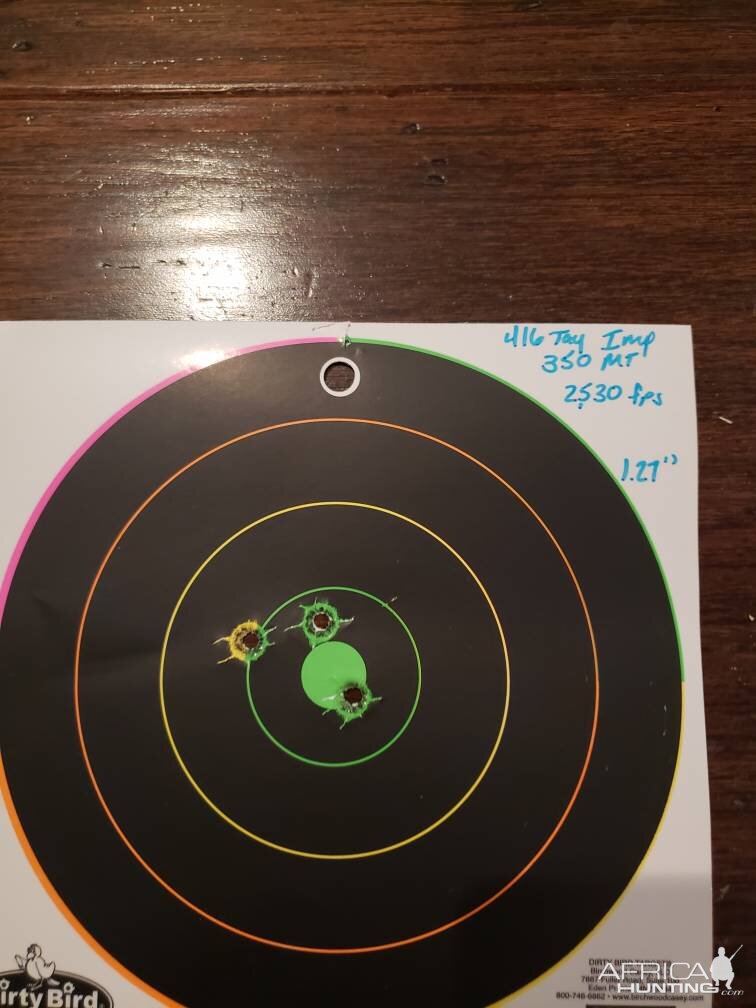 Tested loads in my 416 Taylor Imp