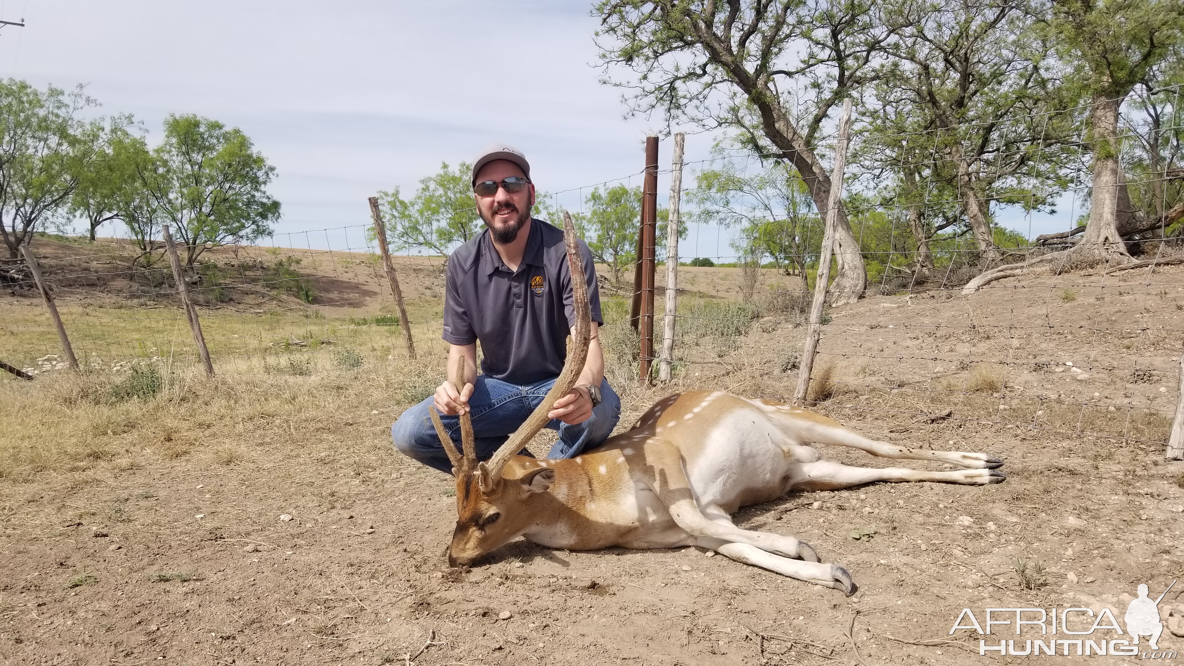 Texas Free Range Axis Deer Hunting