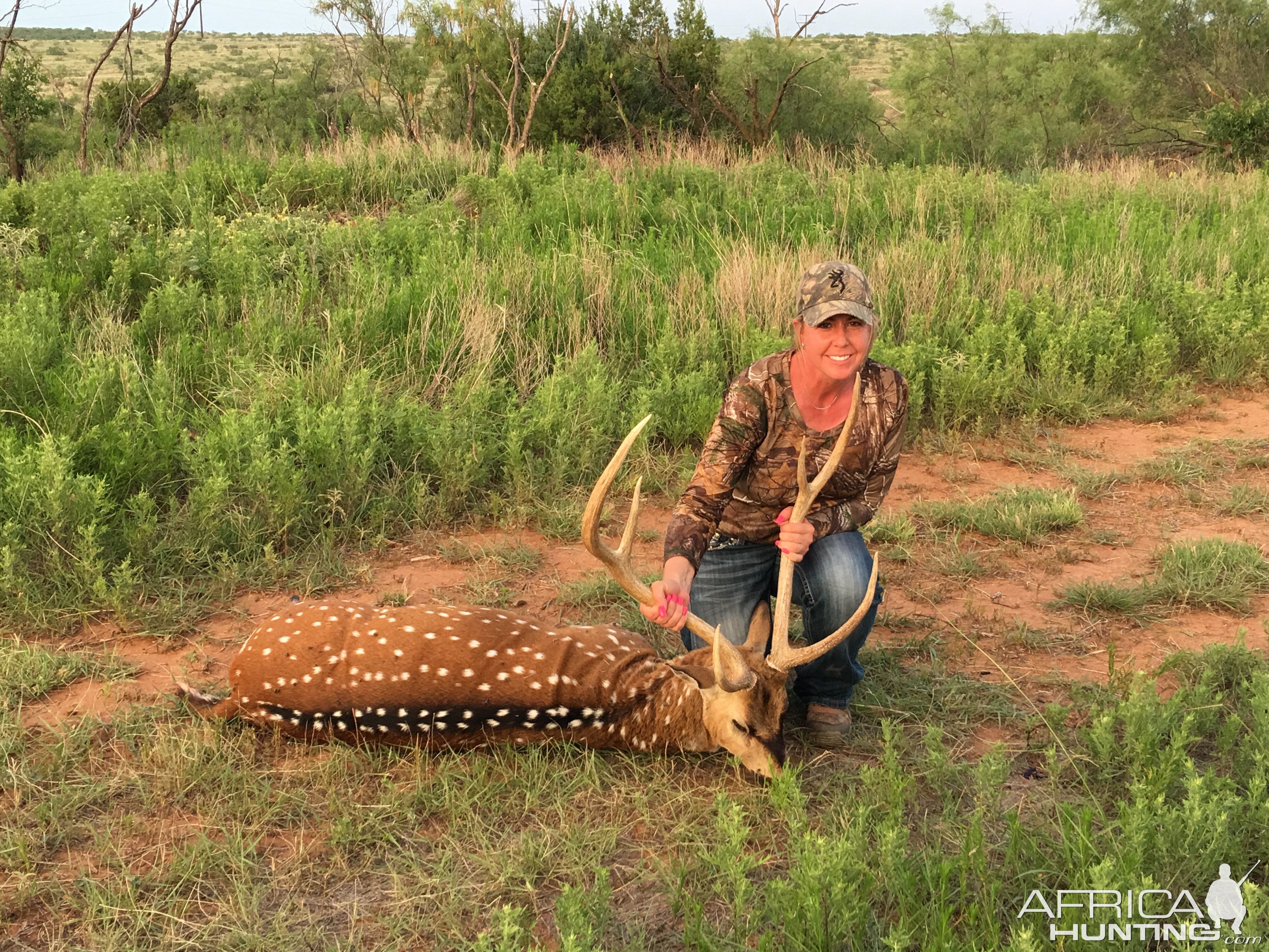 Texas Hunt Axis Deer