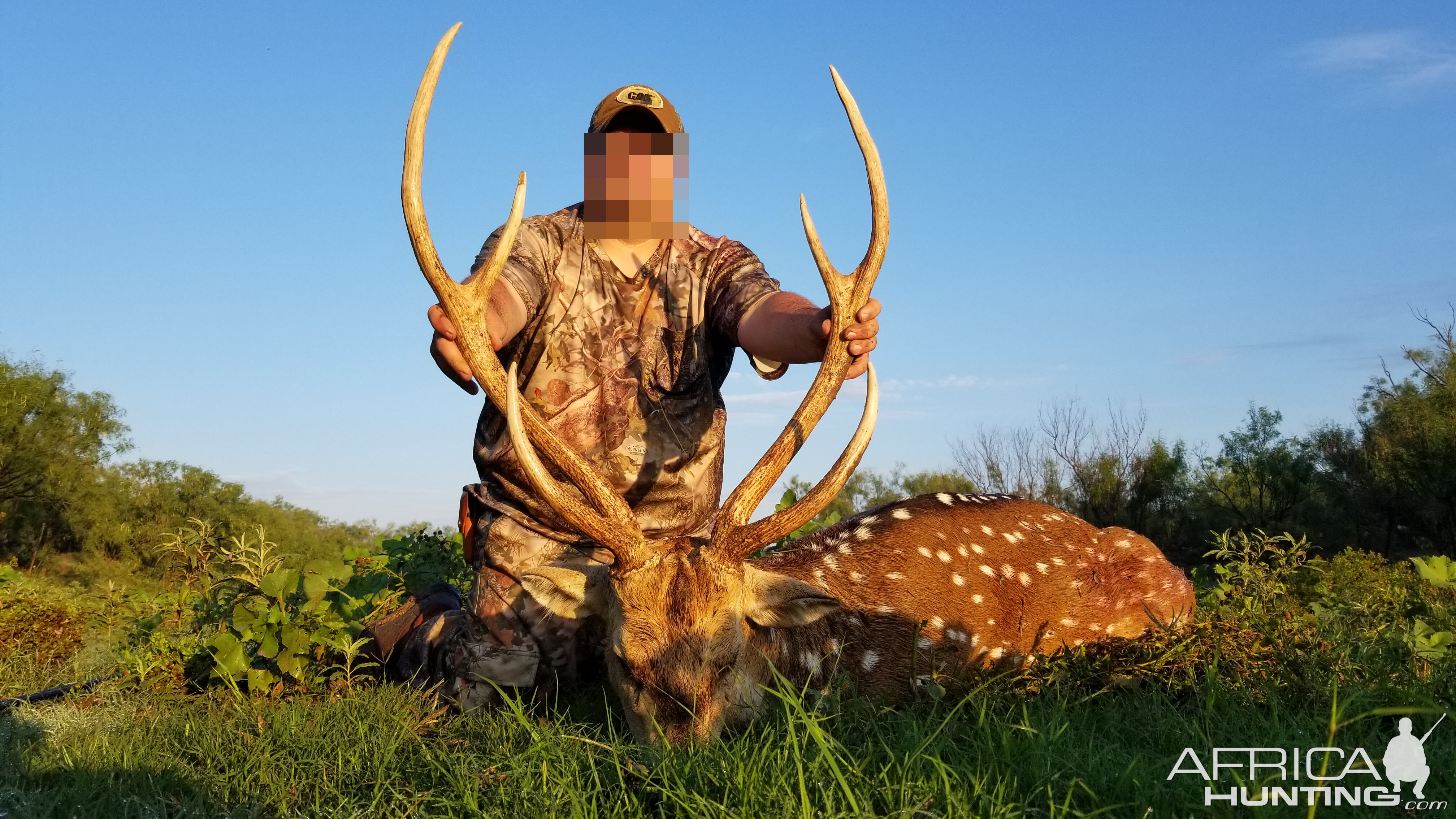 Texas Hunt Axis Deer Hunting