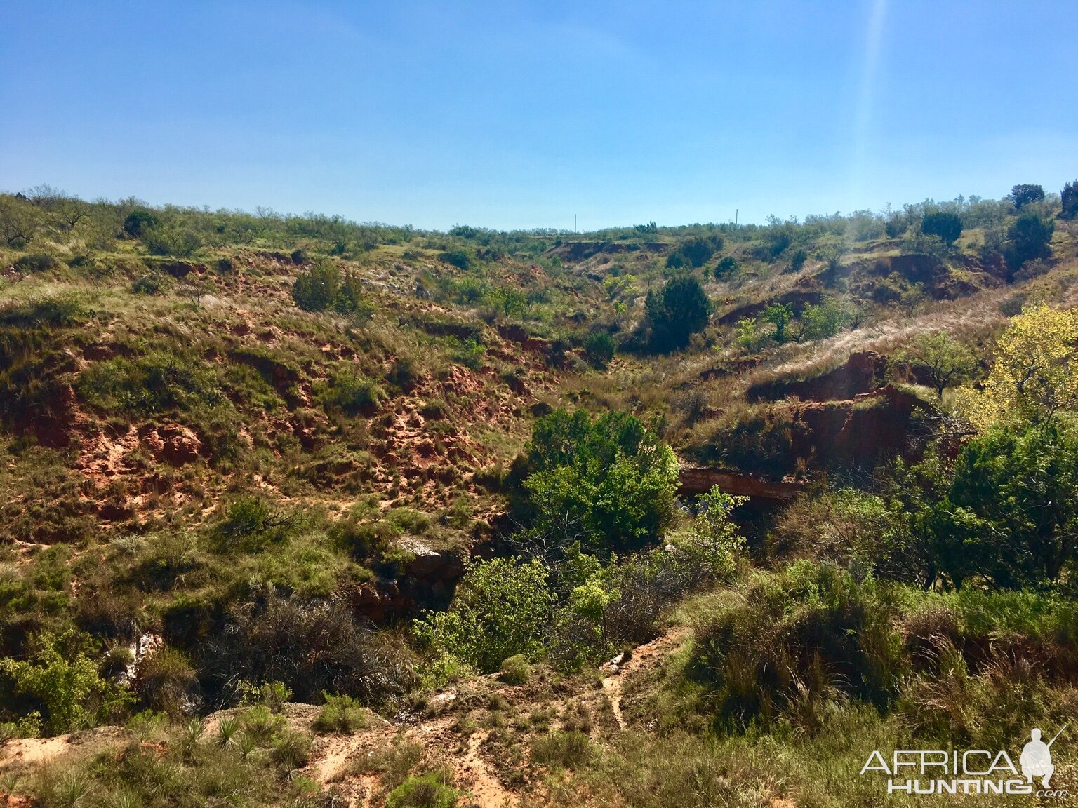 Texas Hunting Aoudad