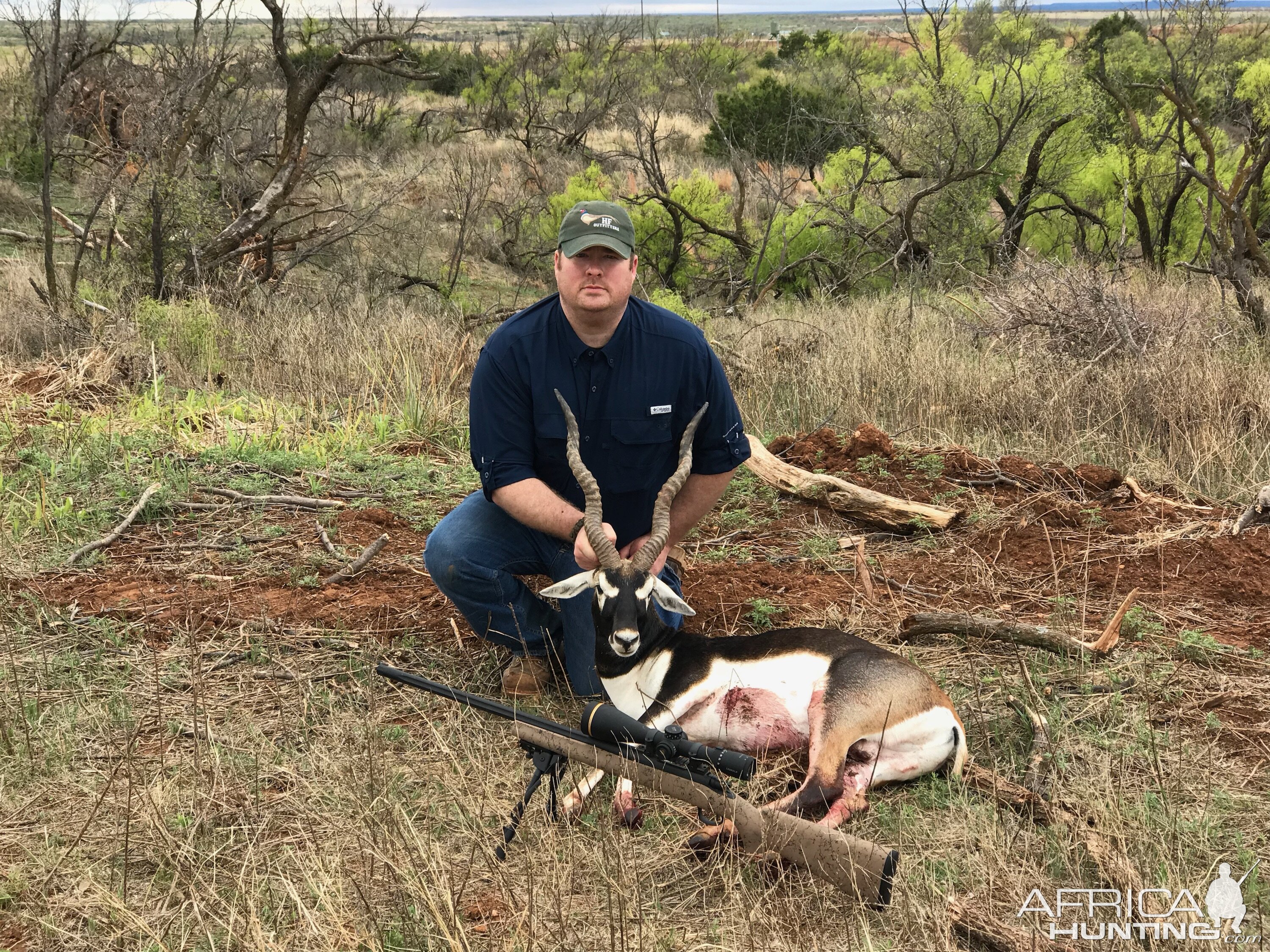 Texas Hunting Blackbuck