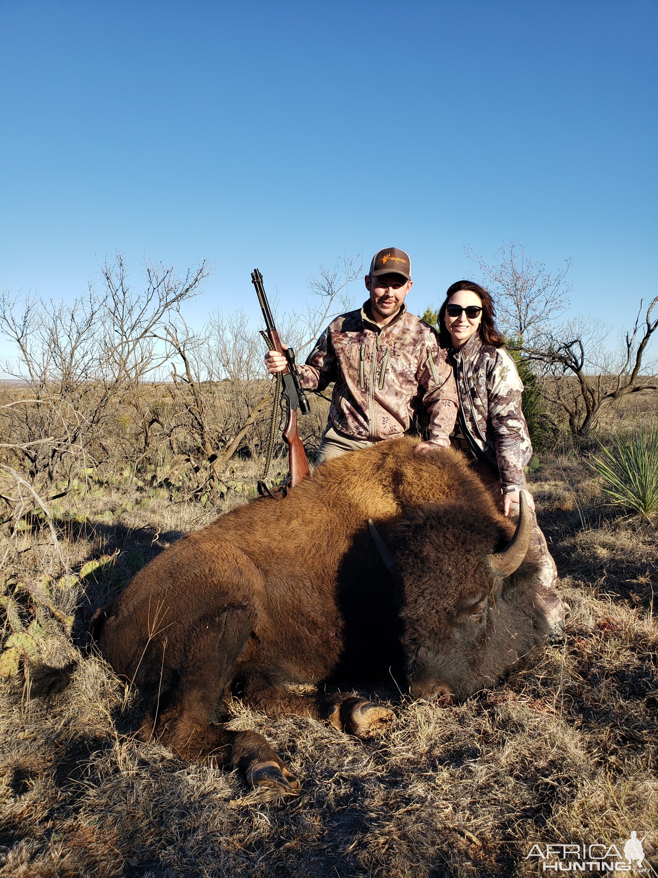 Texas USA Hunt Bison