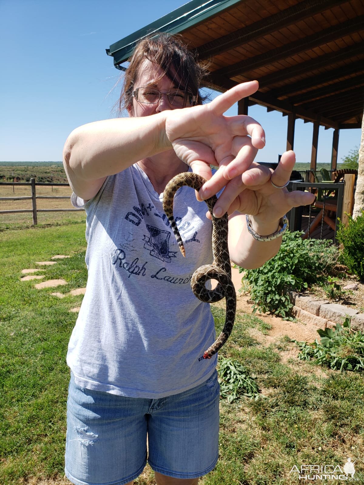 Texas USA Hunt Rattlesnake