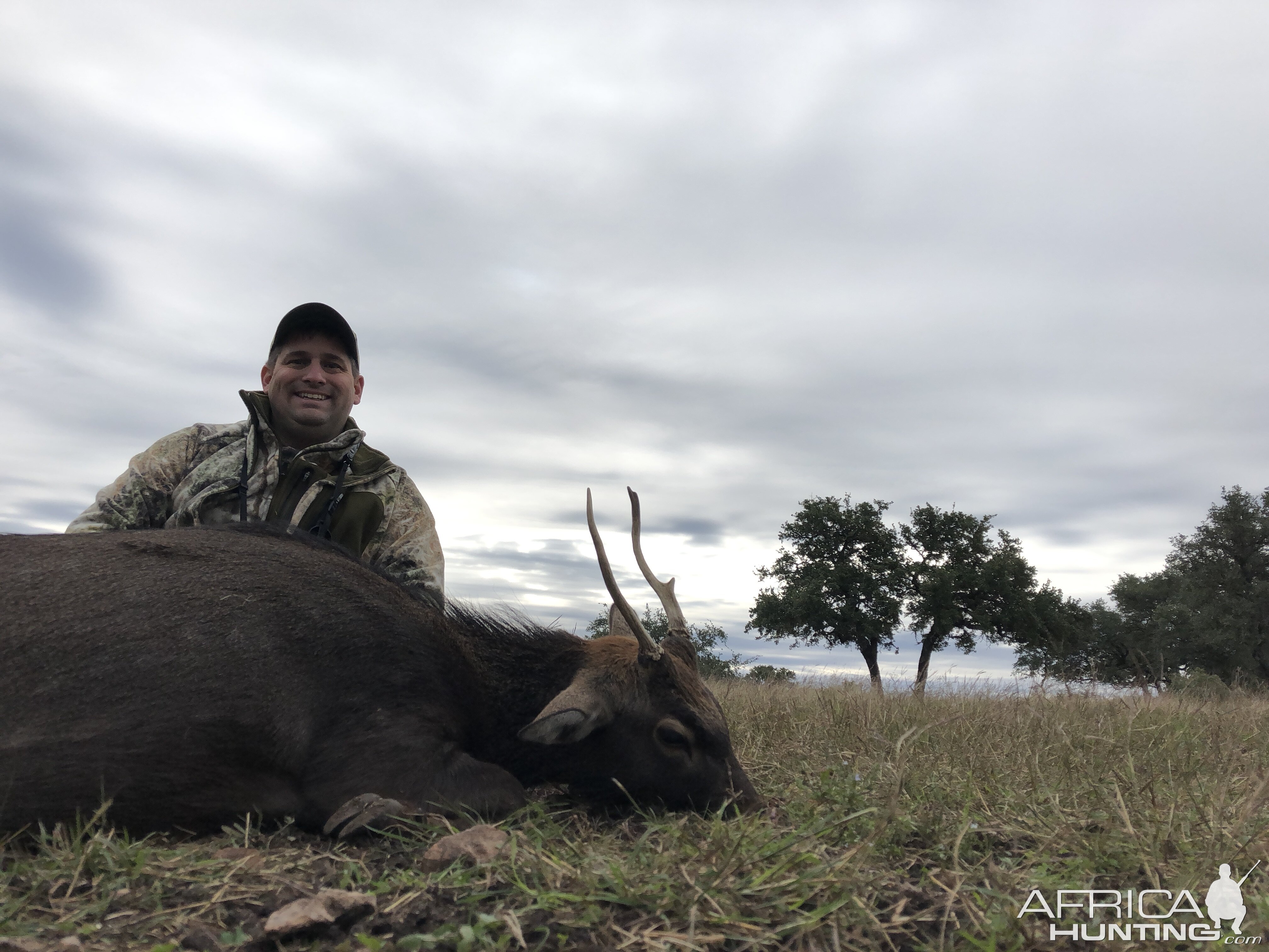 Texas USA Hunt Sika Deer