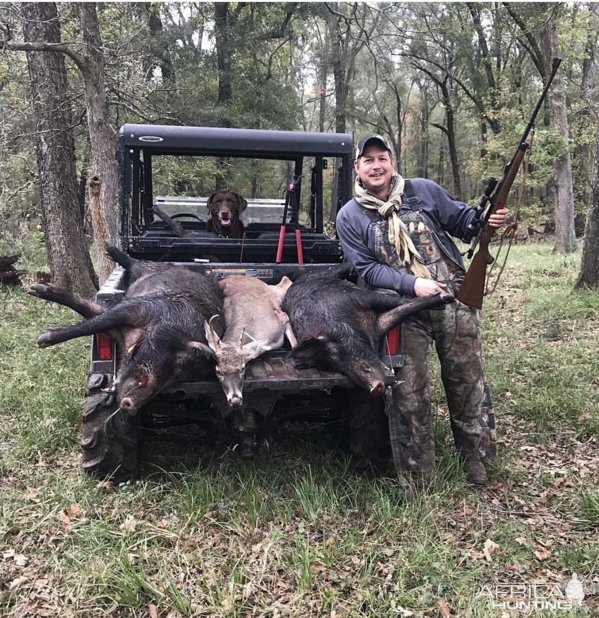 Texas USA Hunting Boars & Deer