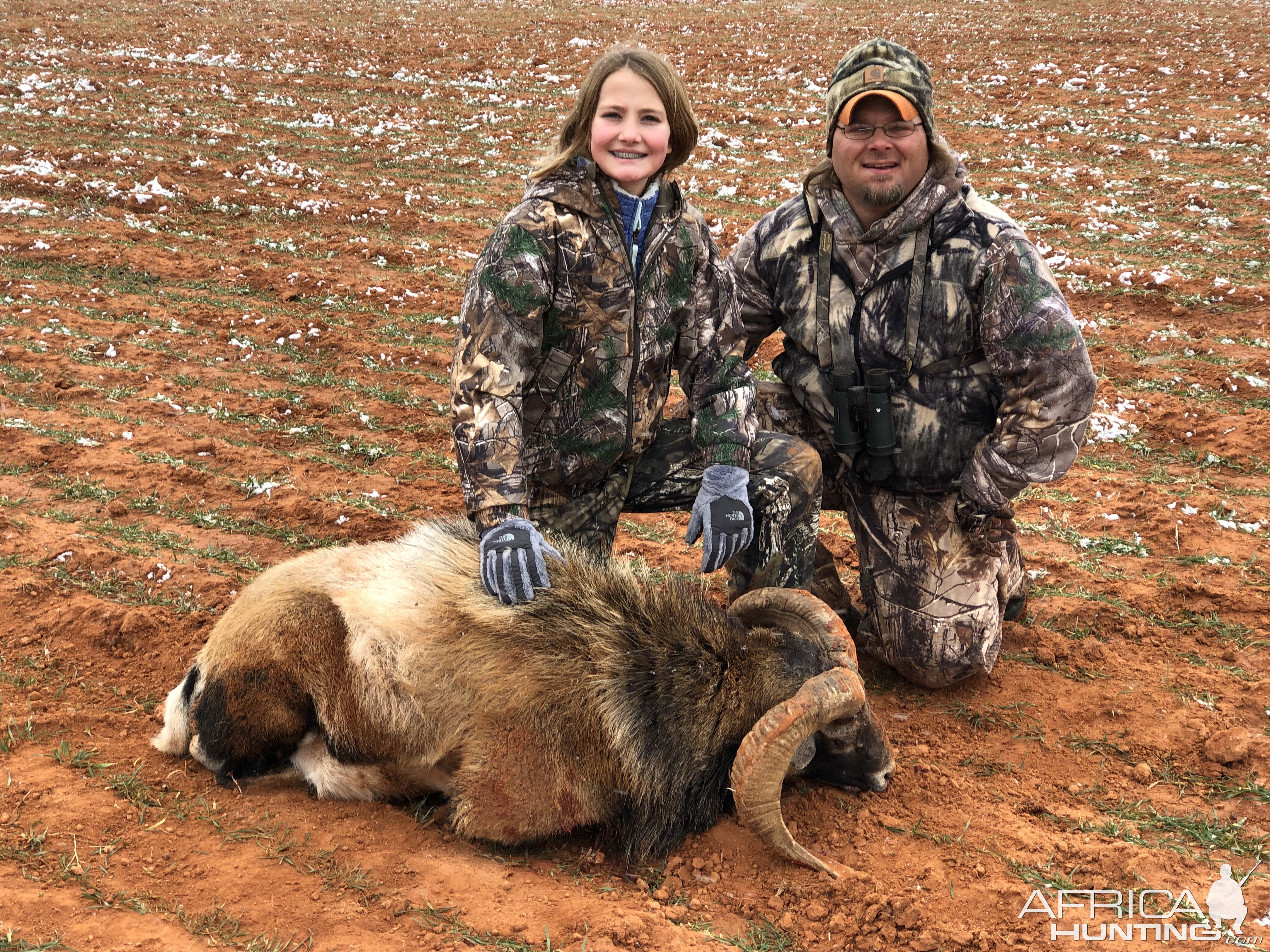 Texas USA Hunting Corsican Sheep