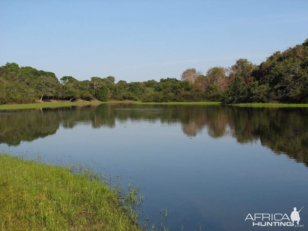 The lake side of my house in Brazil