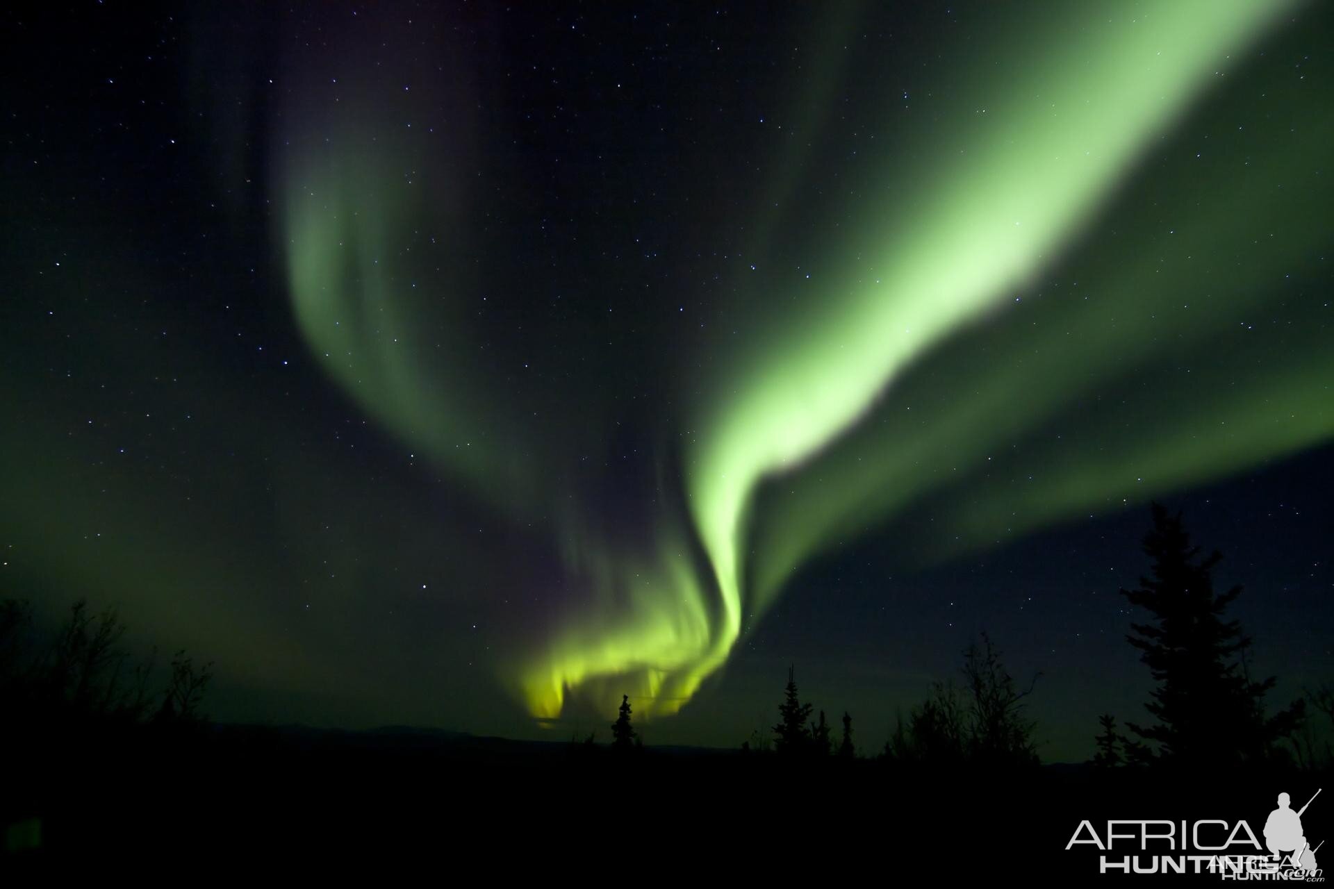 The Northern Lights above an Alaskan Moose camp