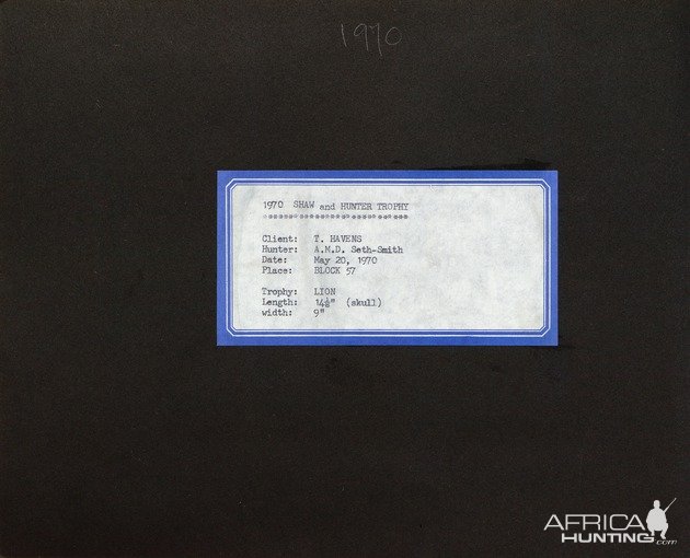 The 'Shaw and Hunter Trophy' lion that was guided by PH, Tony Seth-Smith, in Kenya in 1971. (text)