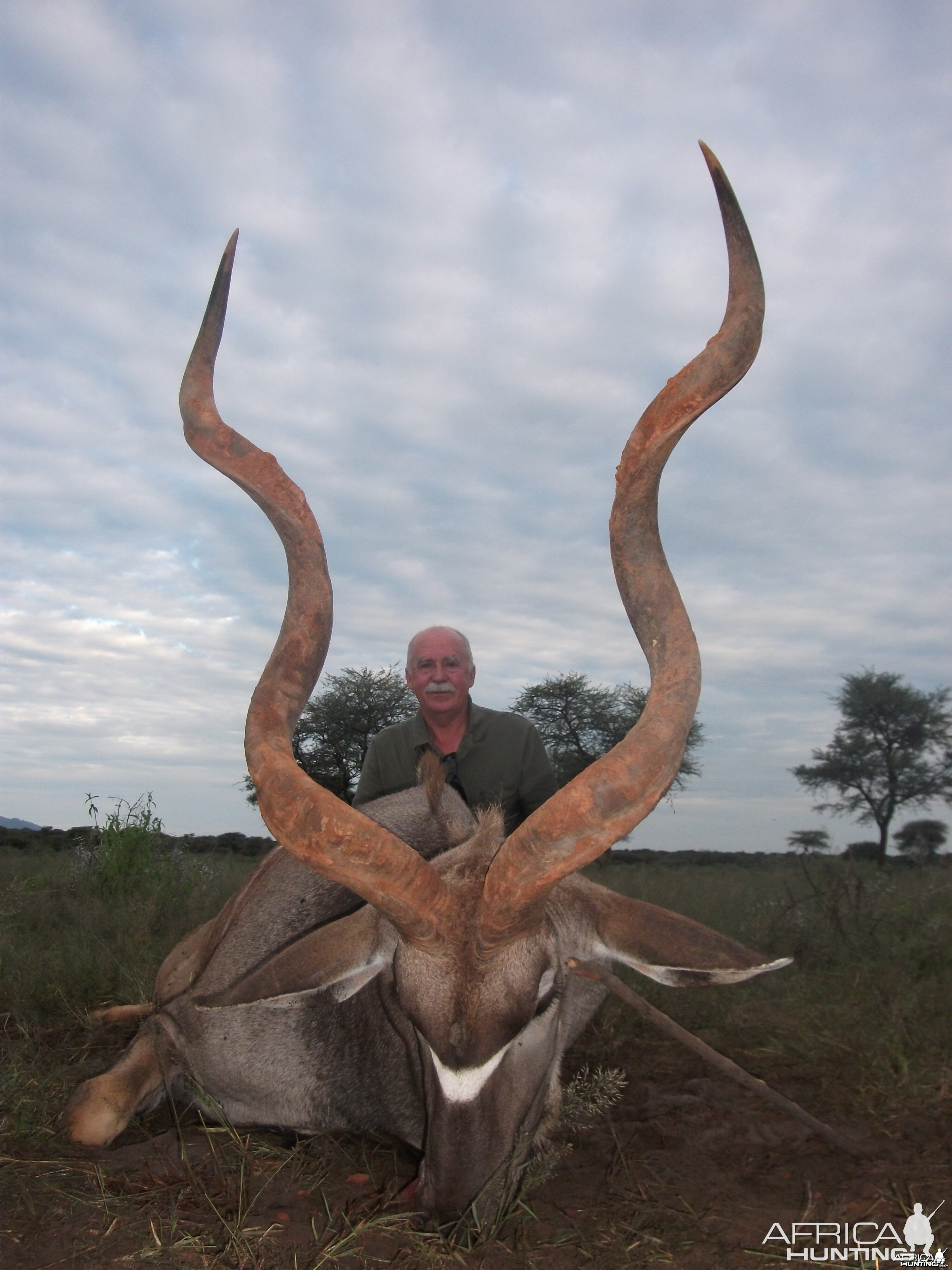 Three horned Greater Kudu hunted in Namibia