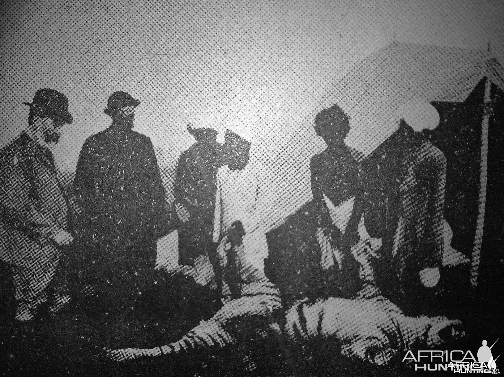 Tiger being skinned 1885