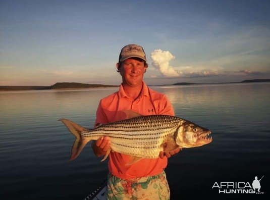 Tiger Fish Fishing