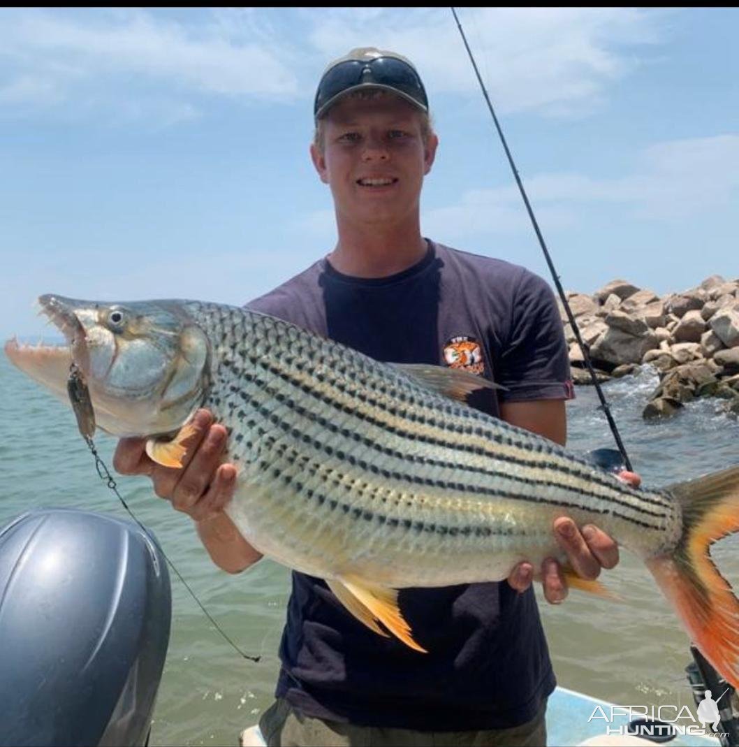 Tiger Fish Fishing