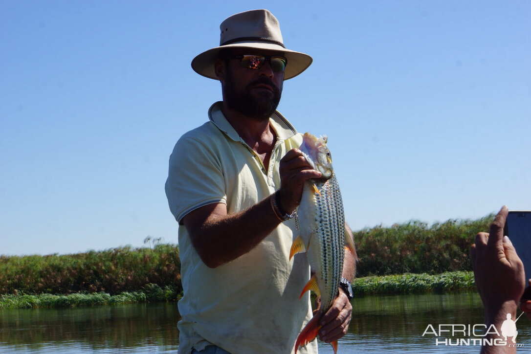 Tiger Fishing Okavango Delta Botswana
